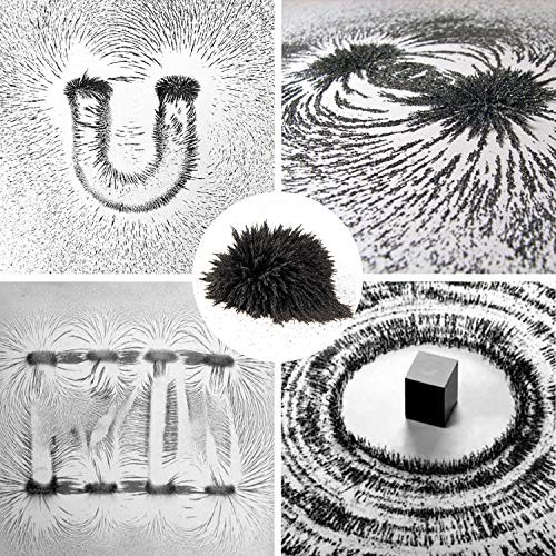 DAILYLIFE Iron Filings 1 LB Bulk Powder with 4 Magnets for Science Experiments