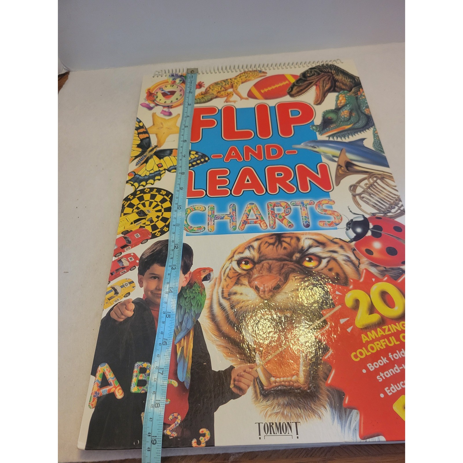 Tormont Flip and Learn Charts OS Multicolor 20 Educational Easel Charts 1998
