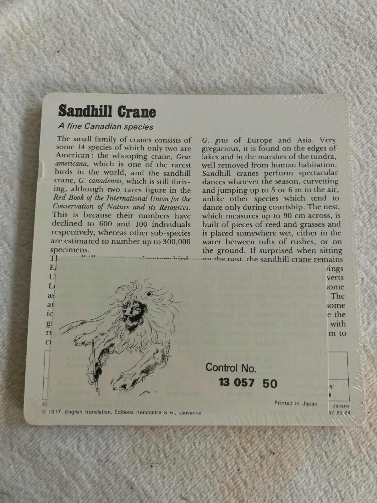 1977 Editions Rencontre S.A. Lausanne Animal Flash Cards Painted Snipe 24-Pack