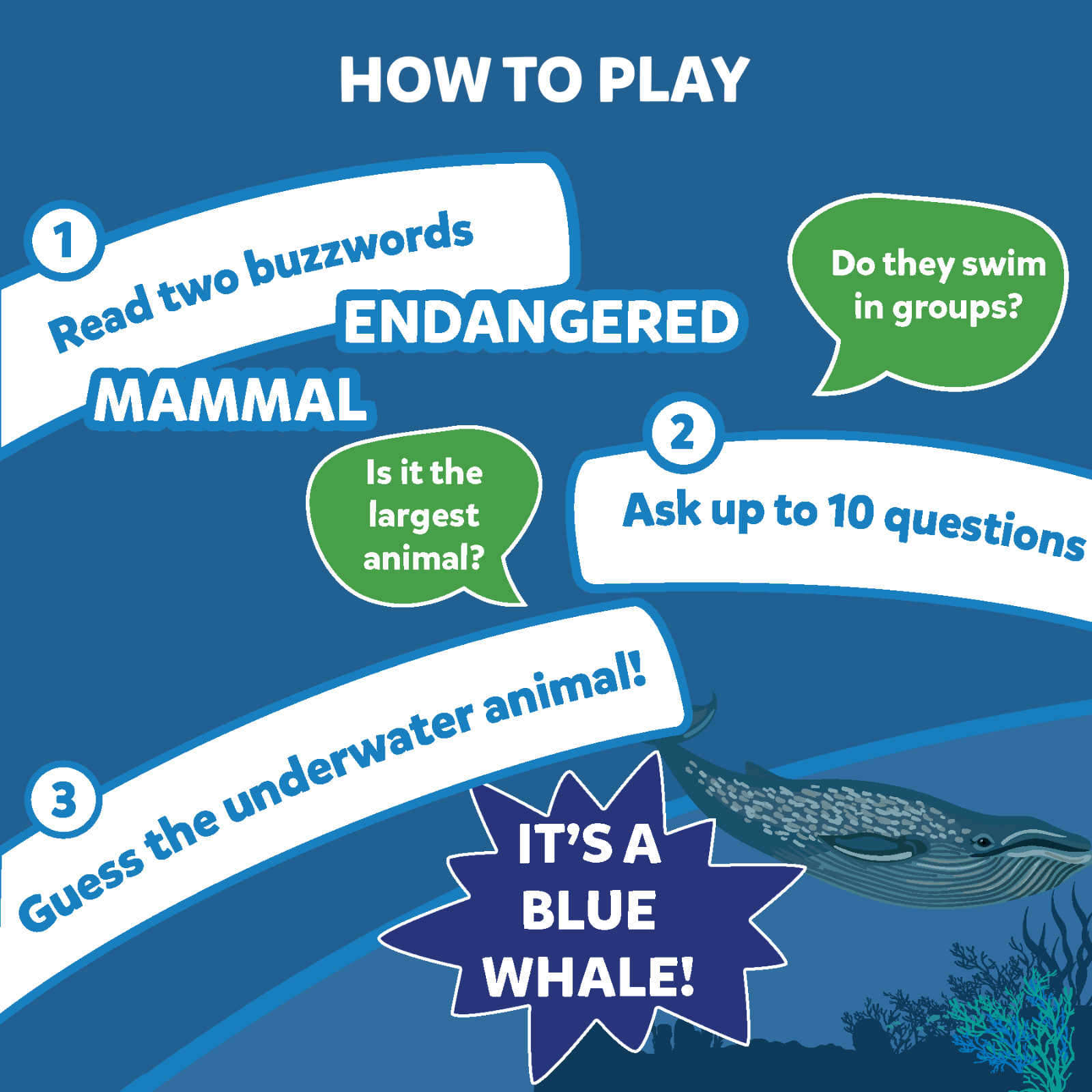Skillmatics Card Game – Guess in 10 Underwater Animals for Kids Ages 8 and Up