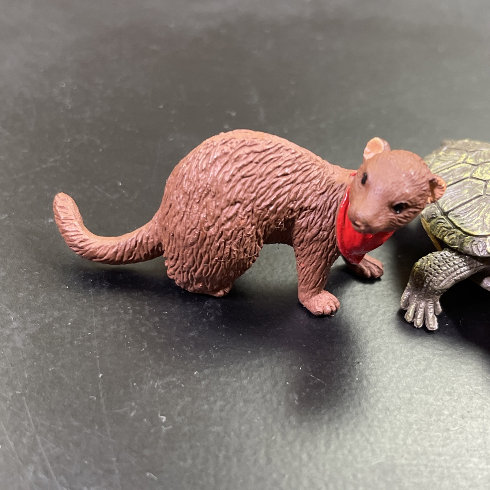 Mixed Lot of 6 Safari Ltd Animals Cat Fish Turtle Rabit ETC Educational Figures