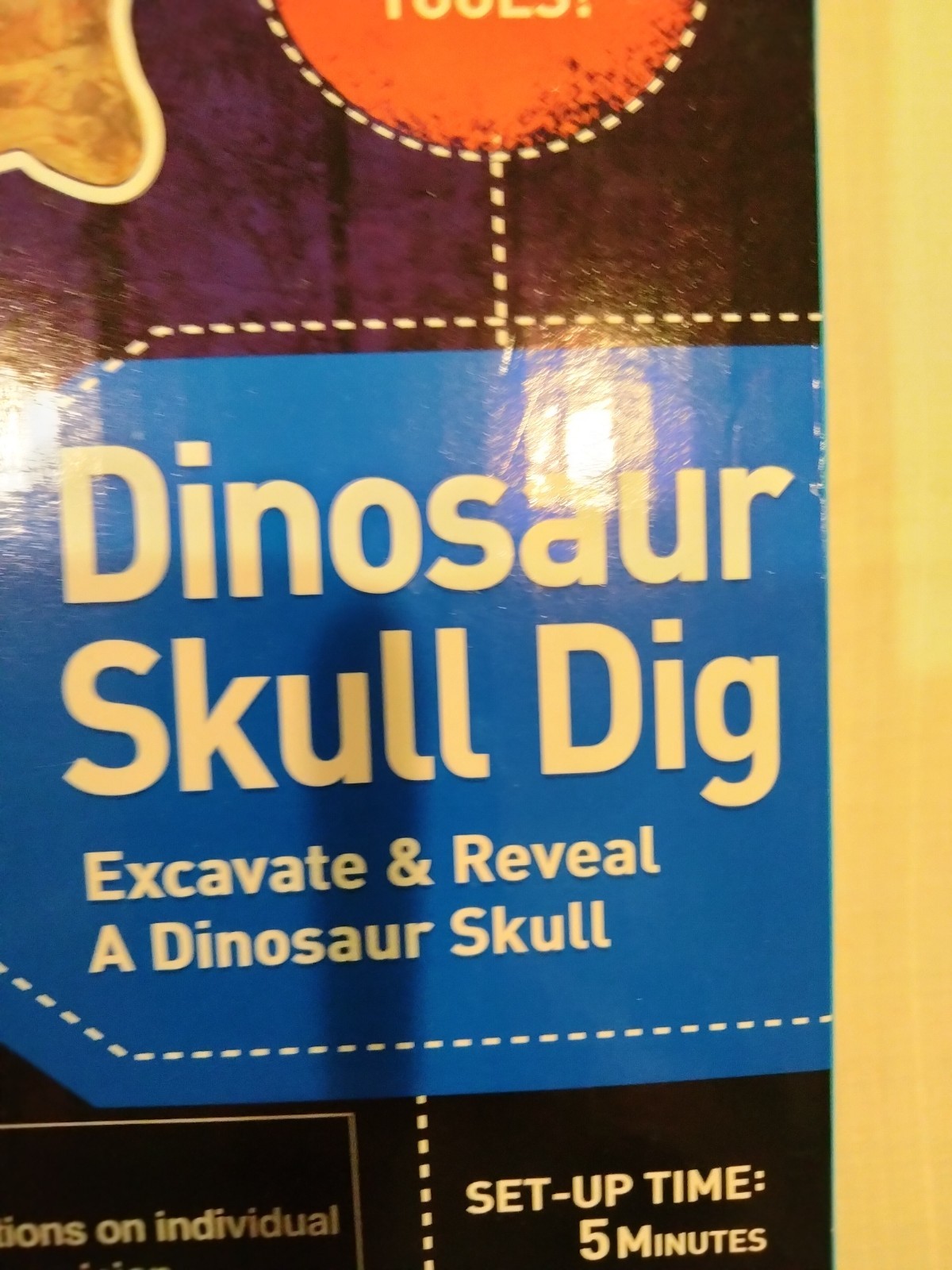 Discovery Dinosaur Skull Dig Tyrannosaurus with Display Stand & Poster