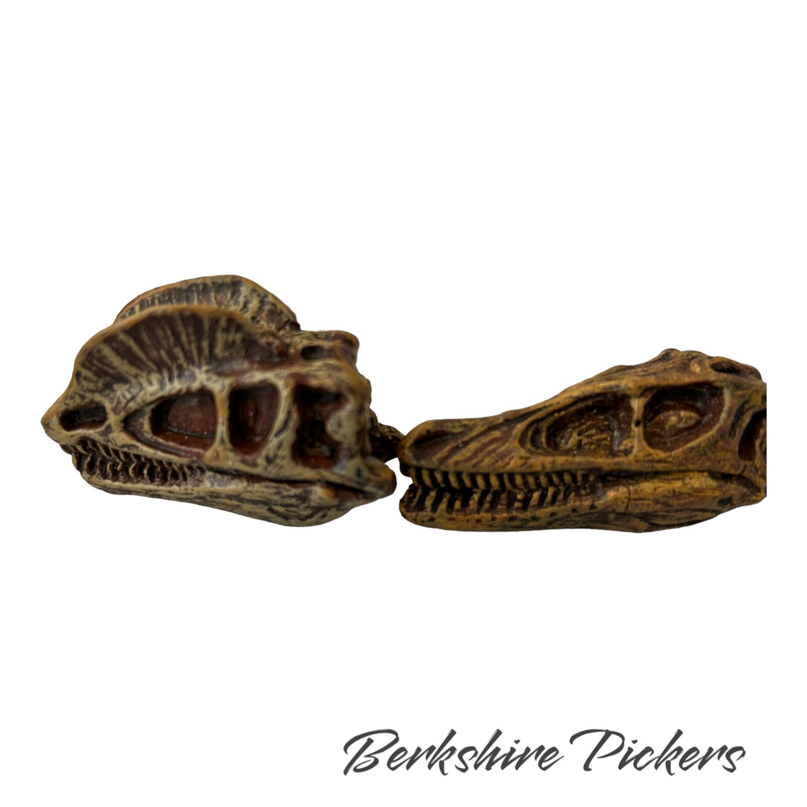 Safari Ltd Dinosaur Skull MINI Replica Lot Of 9