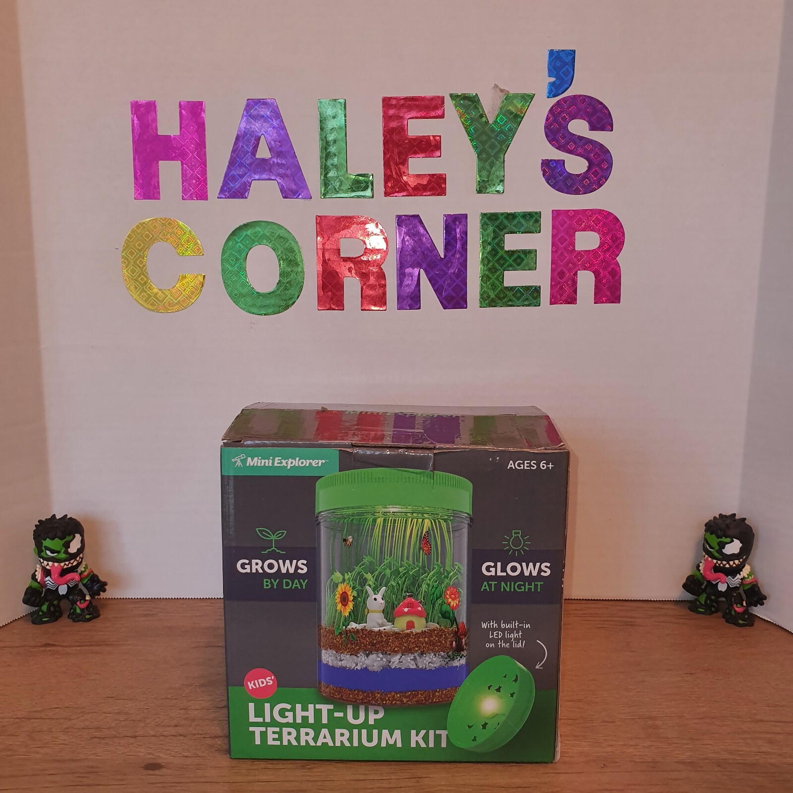 Light-Up Terrarium Kit for Kids – STEM Science Kits – Birthday Gifts for Kids…