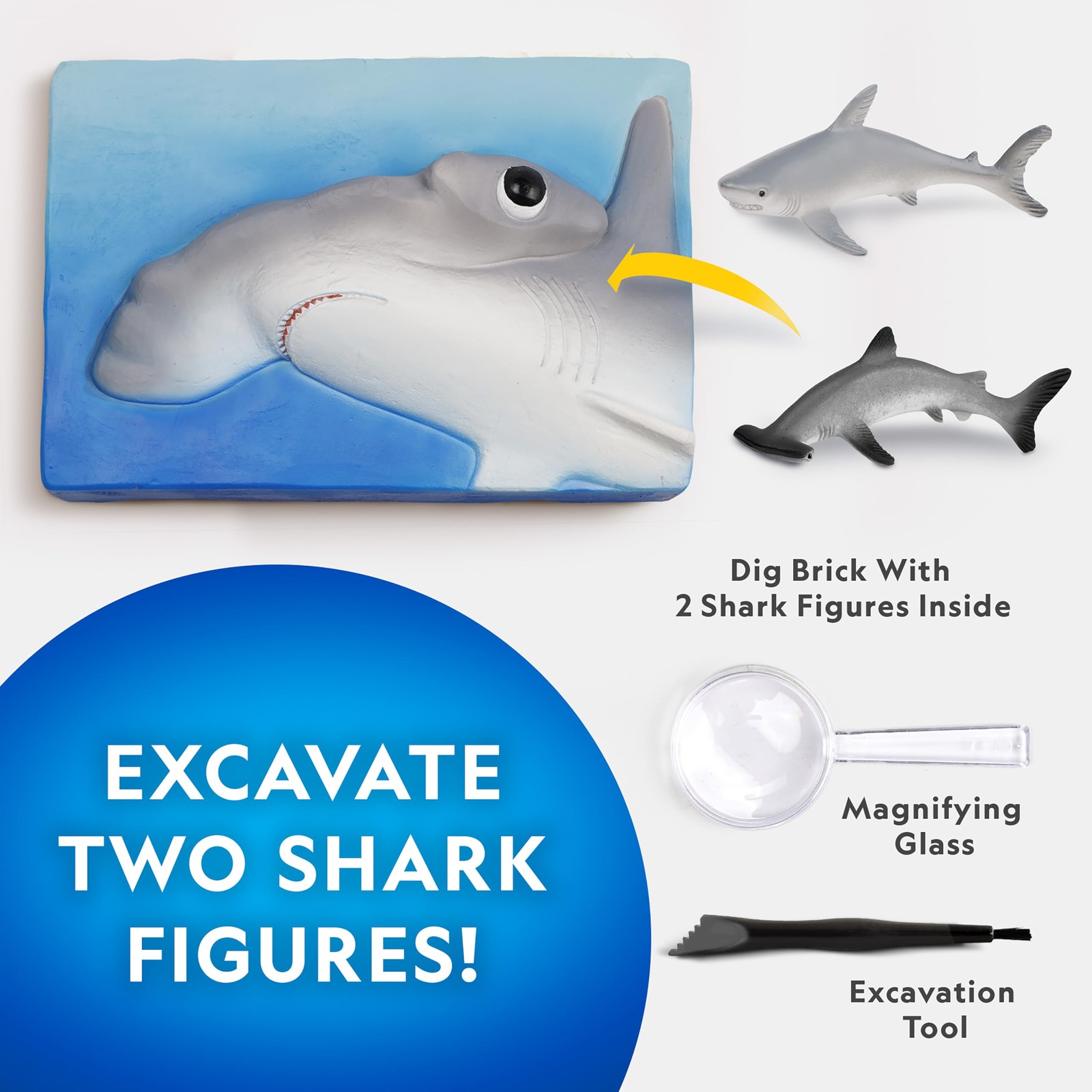 National Geographic Shark Dig Kit Science Set for Child Age 8 Years and up