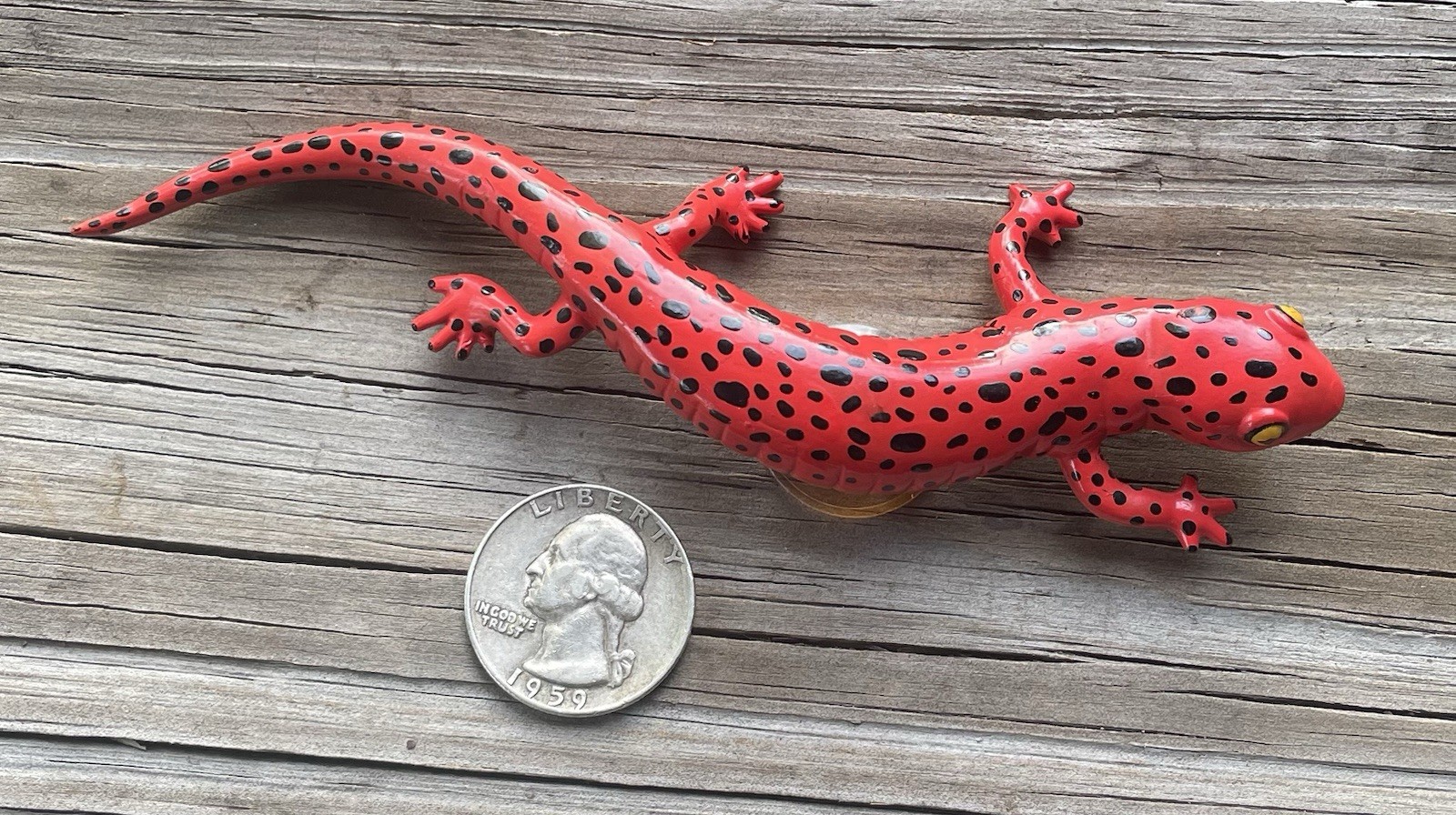 Red Salamander 1995 Safari Ltd Vintage Rubber Toy Figure Tennessee Aquarium Cute