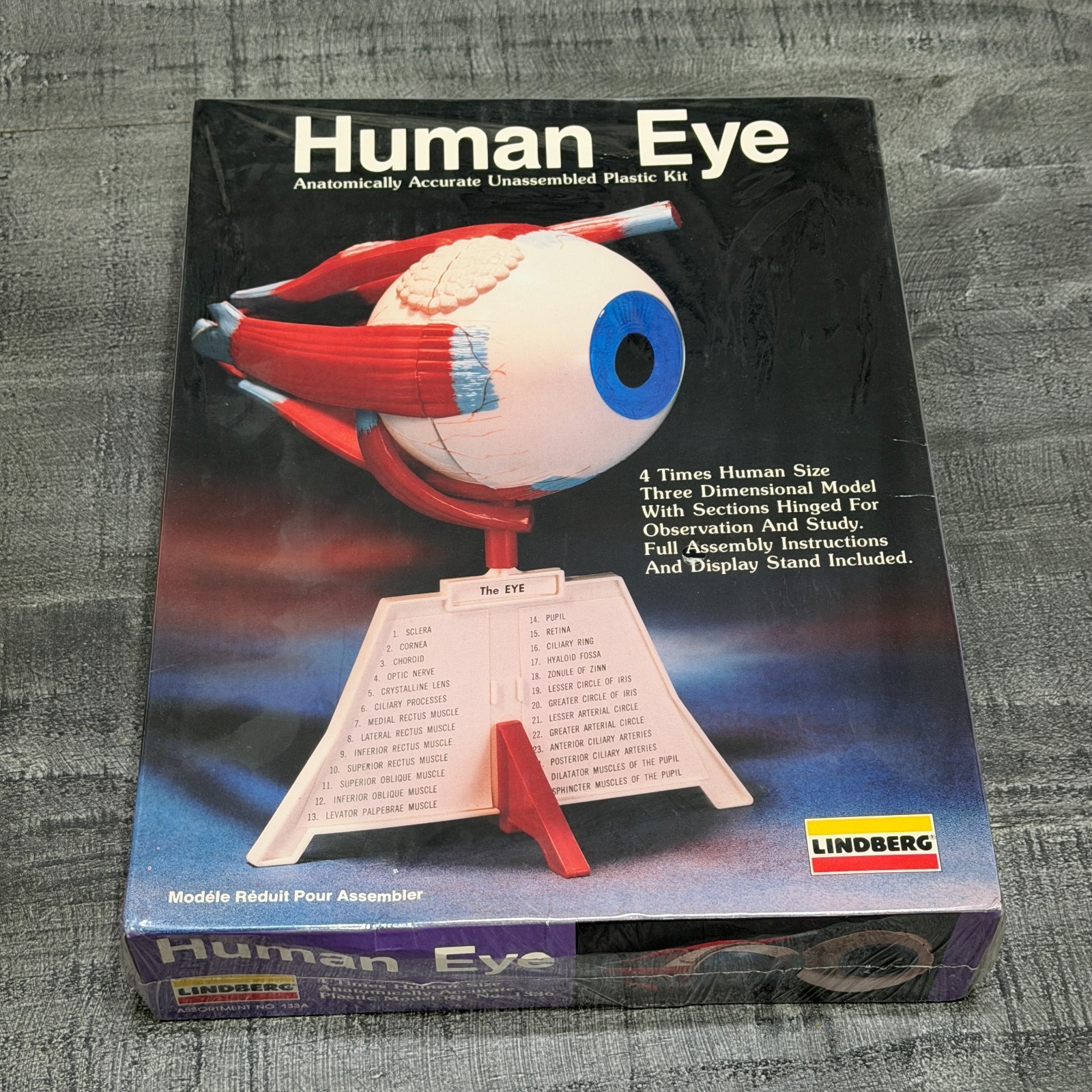 New 1987 Lindberg Human Science – Human Eye Unassembled Plastic Kit – NEW/SEALED