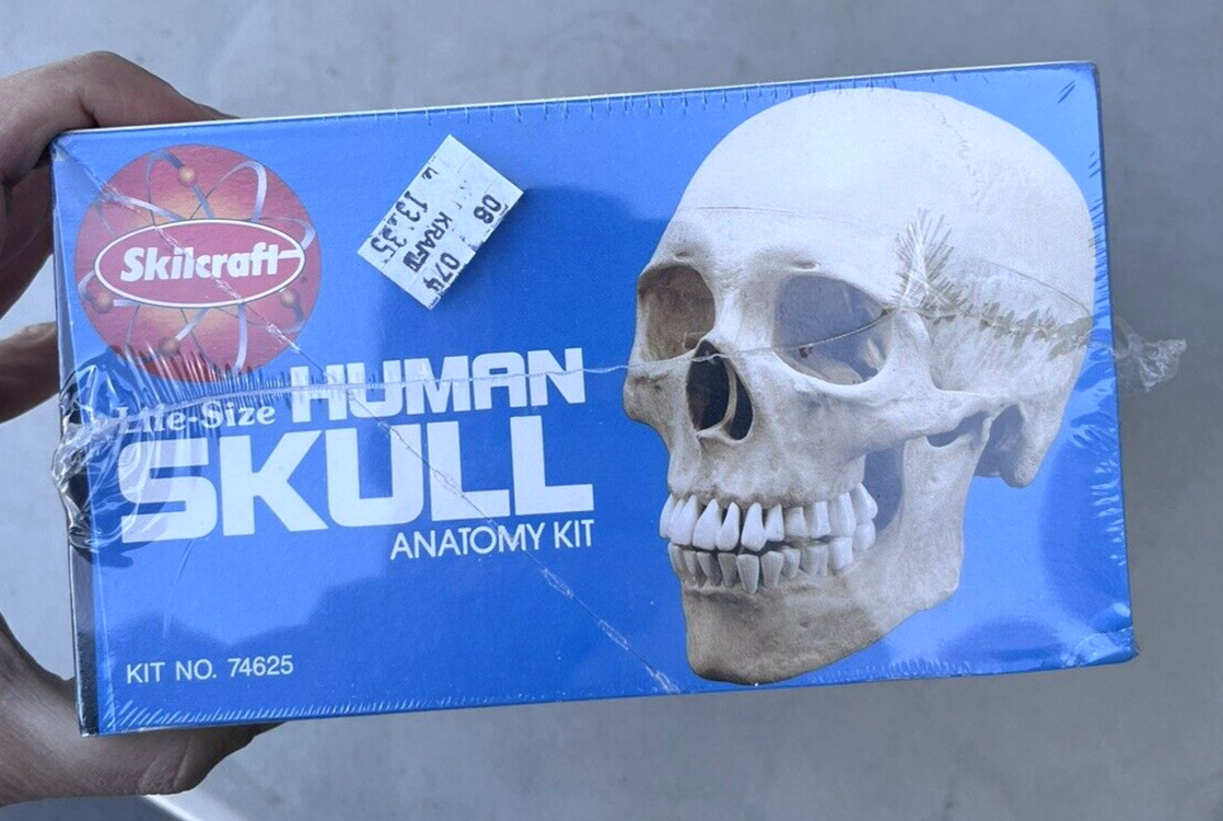 NEW 1996 Vintage Skilcraft Life-Size Human Skull Anatomy Model Kit No. 74625
