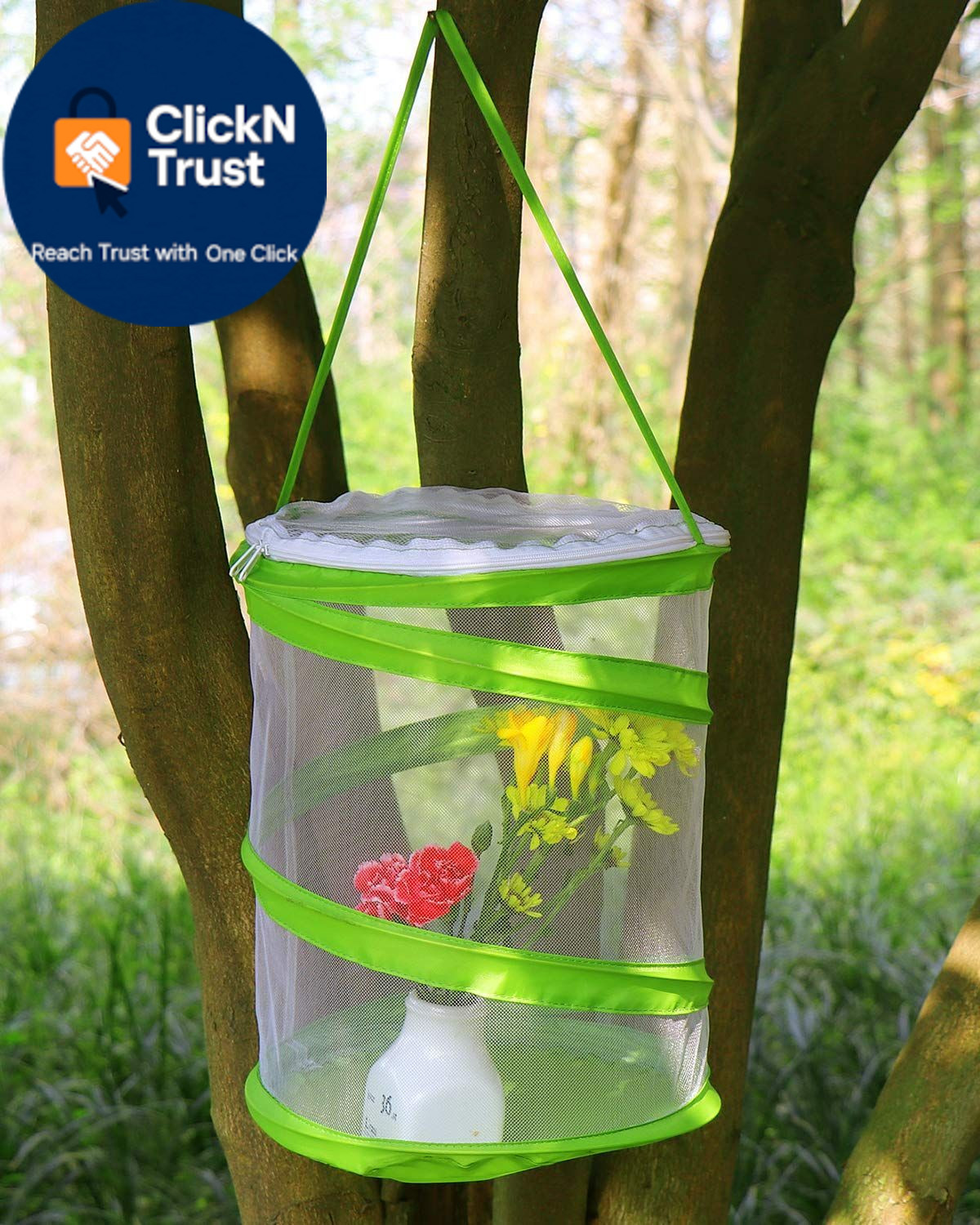 RESTCLOUD Pop-up Insect and Butterfly Habitat 9.0″L x 9.0″W x 11.0″H, Clear