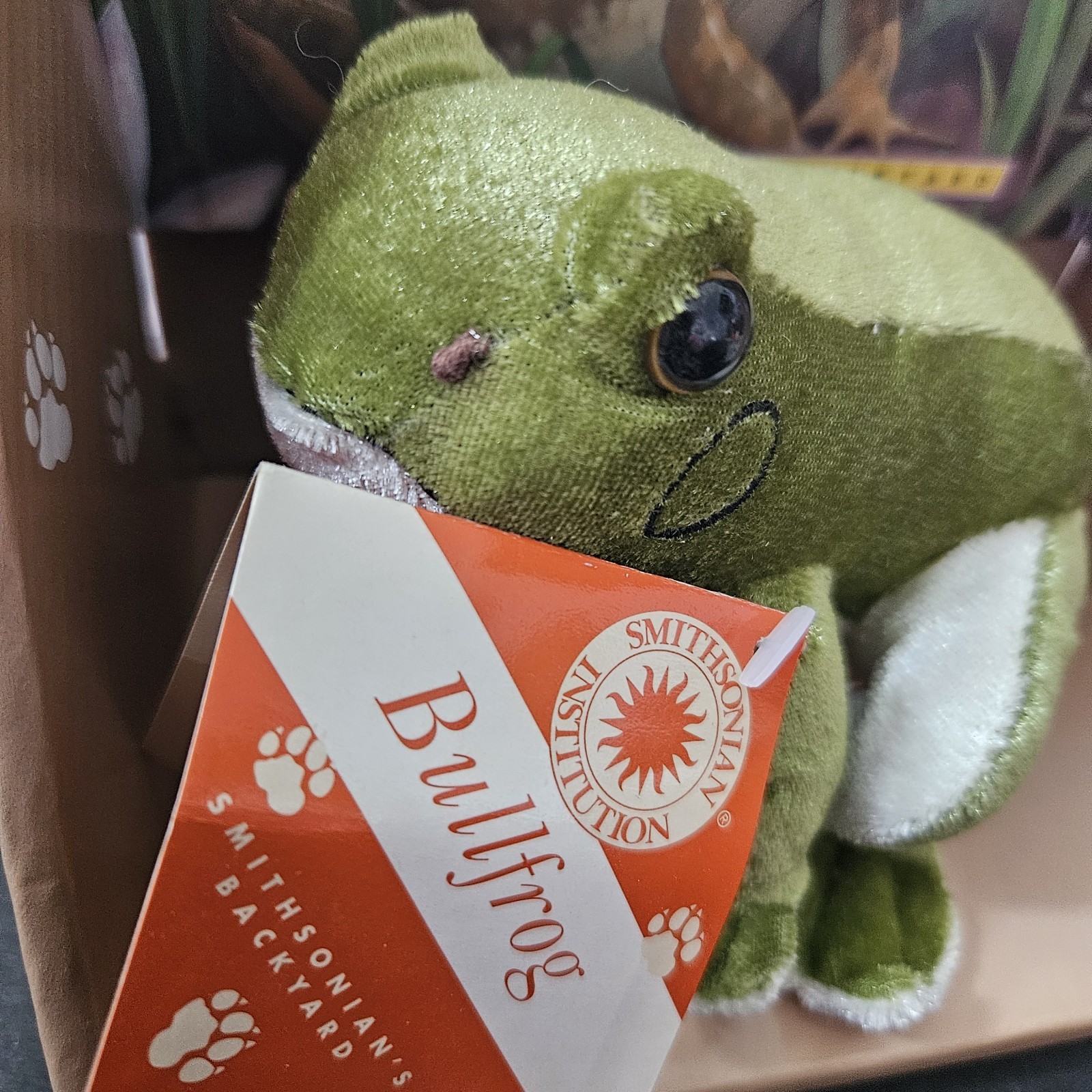 Smithsonian Nature Science Ladybug/Frog Book & Stuffed Animal Plush Toy Lot of 2