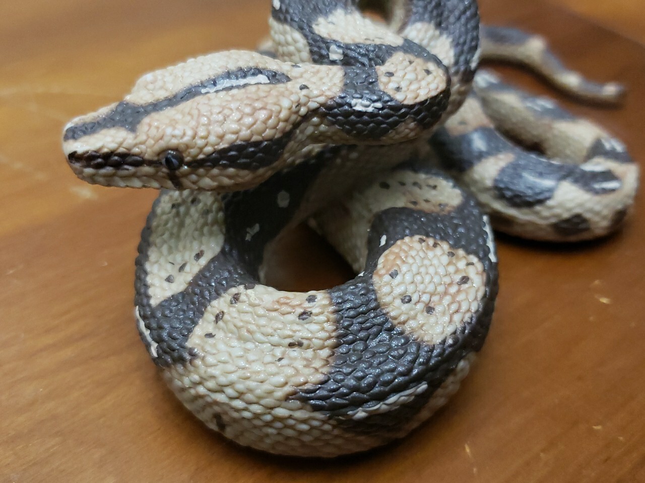 Boa Constrictor Python Realistic Toy Snake Education Prank Safari Ltd Animal Fig