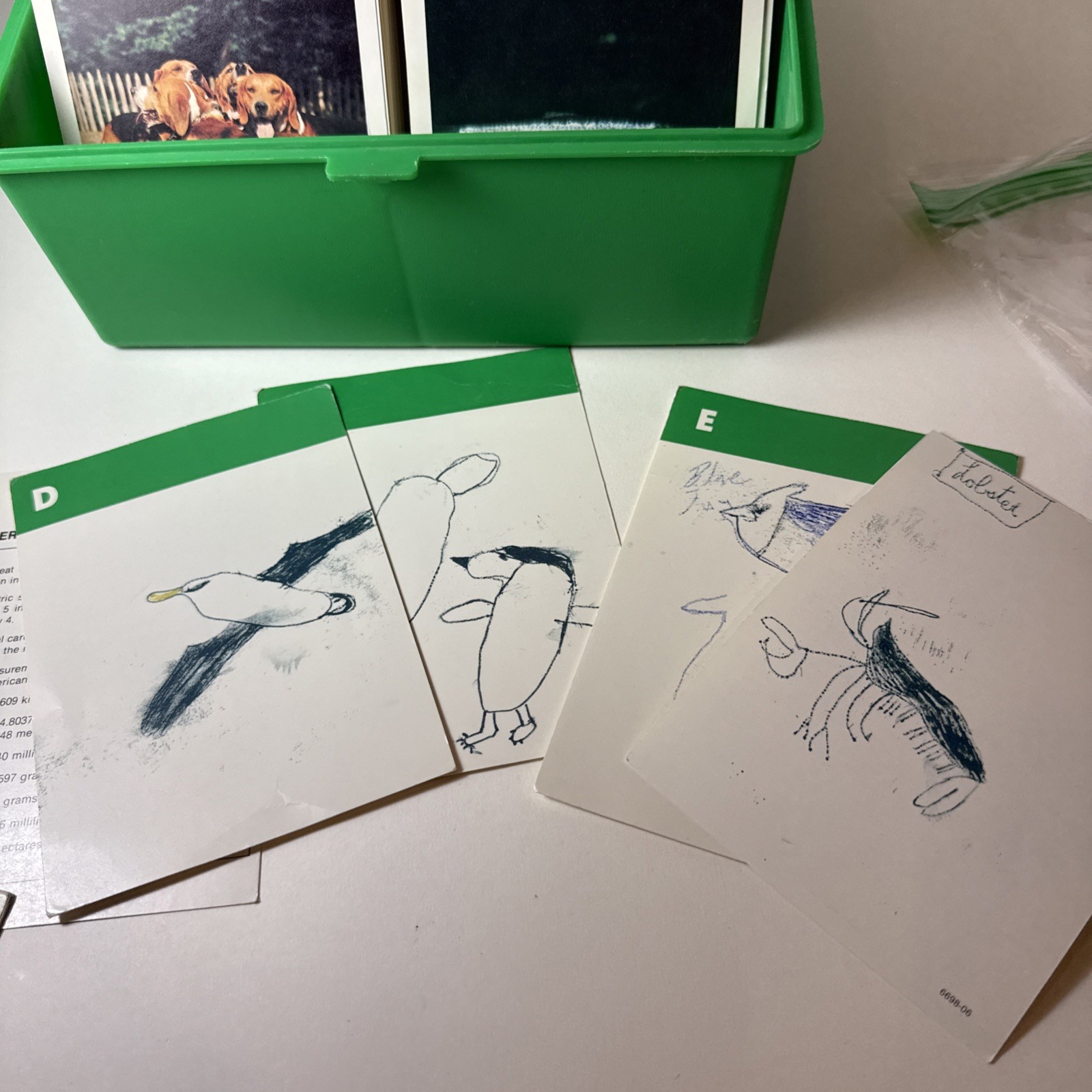 Vtg Illustrated Wildlife Treasury 465 Animal Fact Cards Dividers Case 1970s