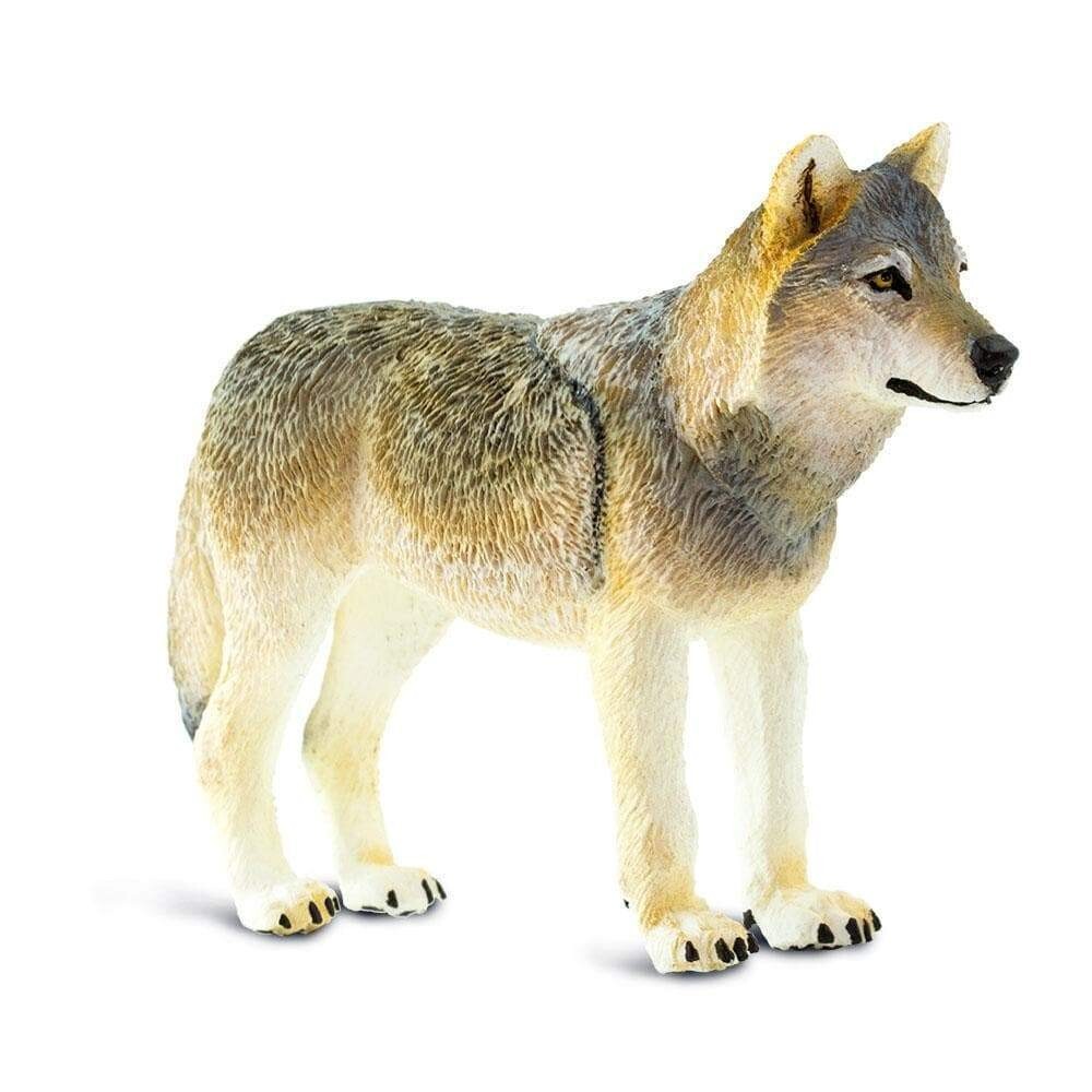 GRAY WOLF Animal Figurine Safari Ltd toy North American Safari Collection