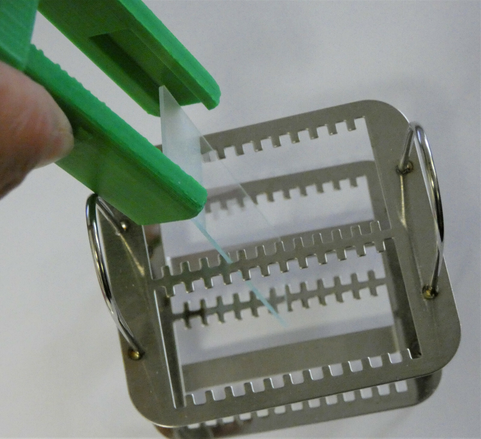 Plastic Microscope Slides Forceps Holder Rack For 3″x1″ Standard Slide Staining