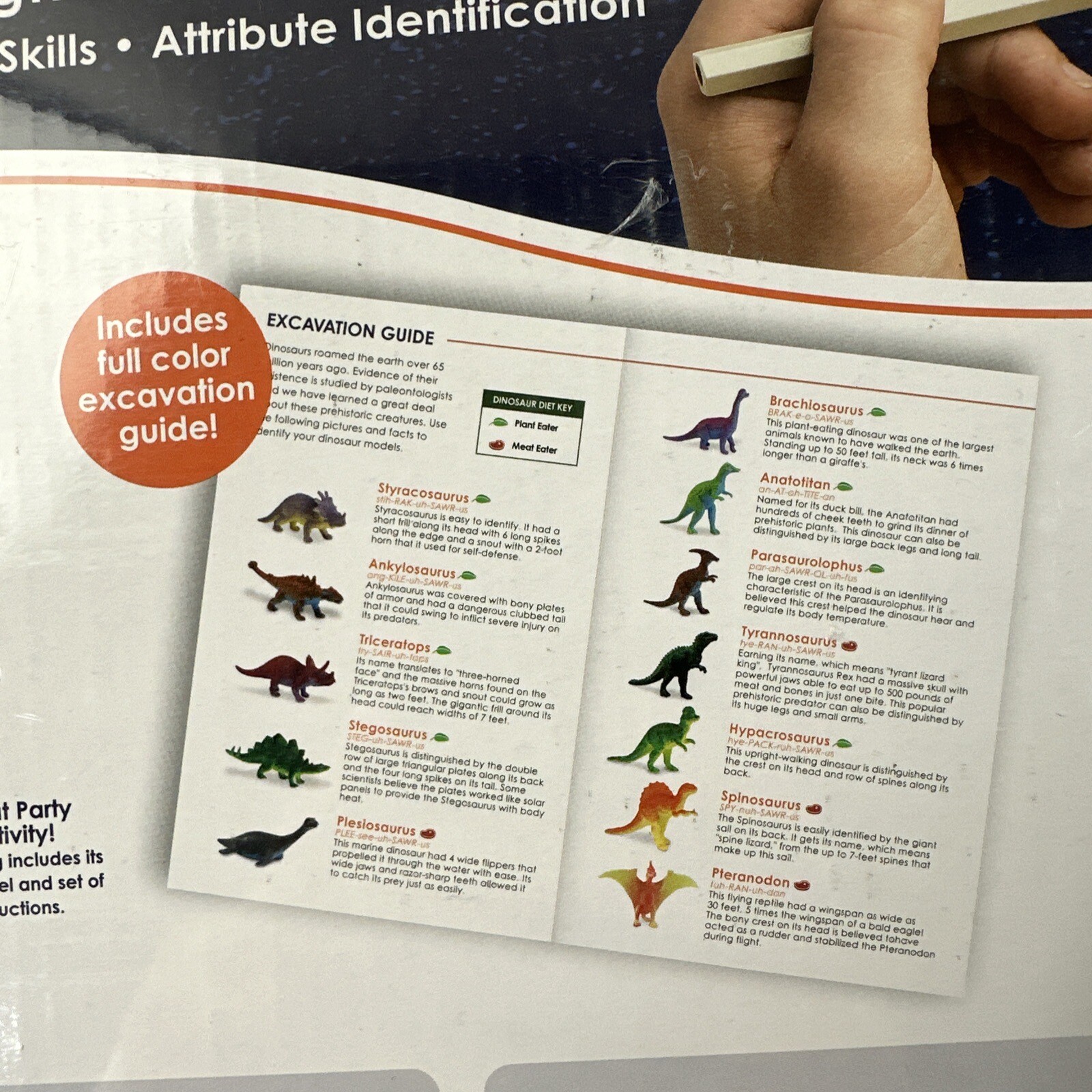 MindWare Dig It Up! Discoveries Science and Nature 12 Eggs Different Dinosaurs