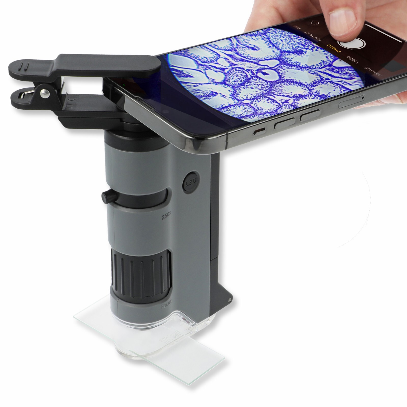 Carson MicroFlip 100x-250x LED/UV Pocket Microscope w/Smartphone Adapter MP-250