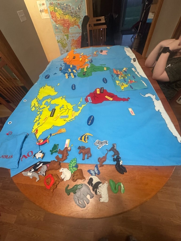 FAO Schwarz Educational 47″ x 71″ The Big Map Discover the Big Wide World