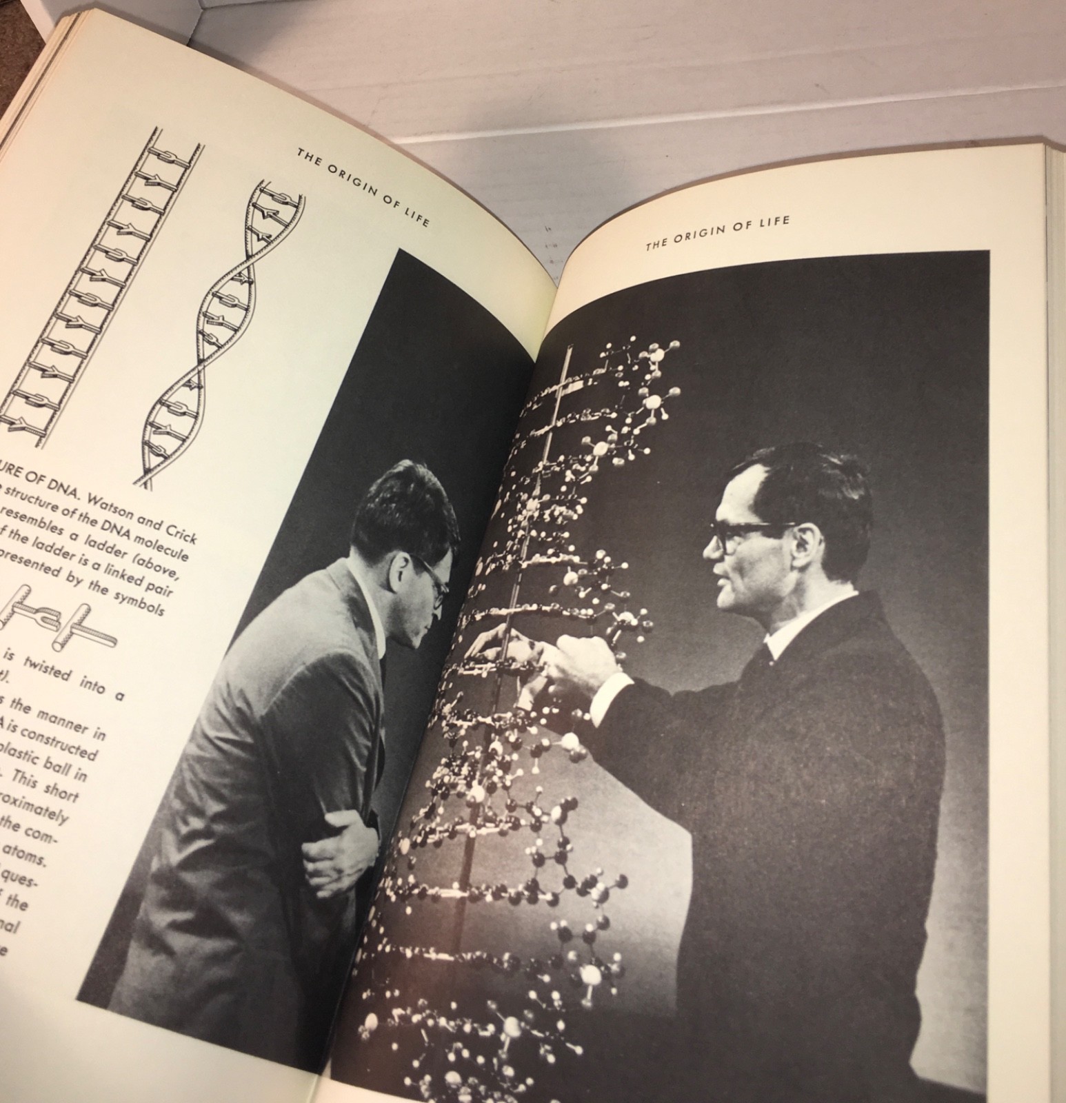 1967 RED GIANTS AND WHITE DWARFS EVOLUTION OF STARS PLANETS AND LIFE HCDJ SPACE