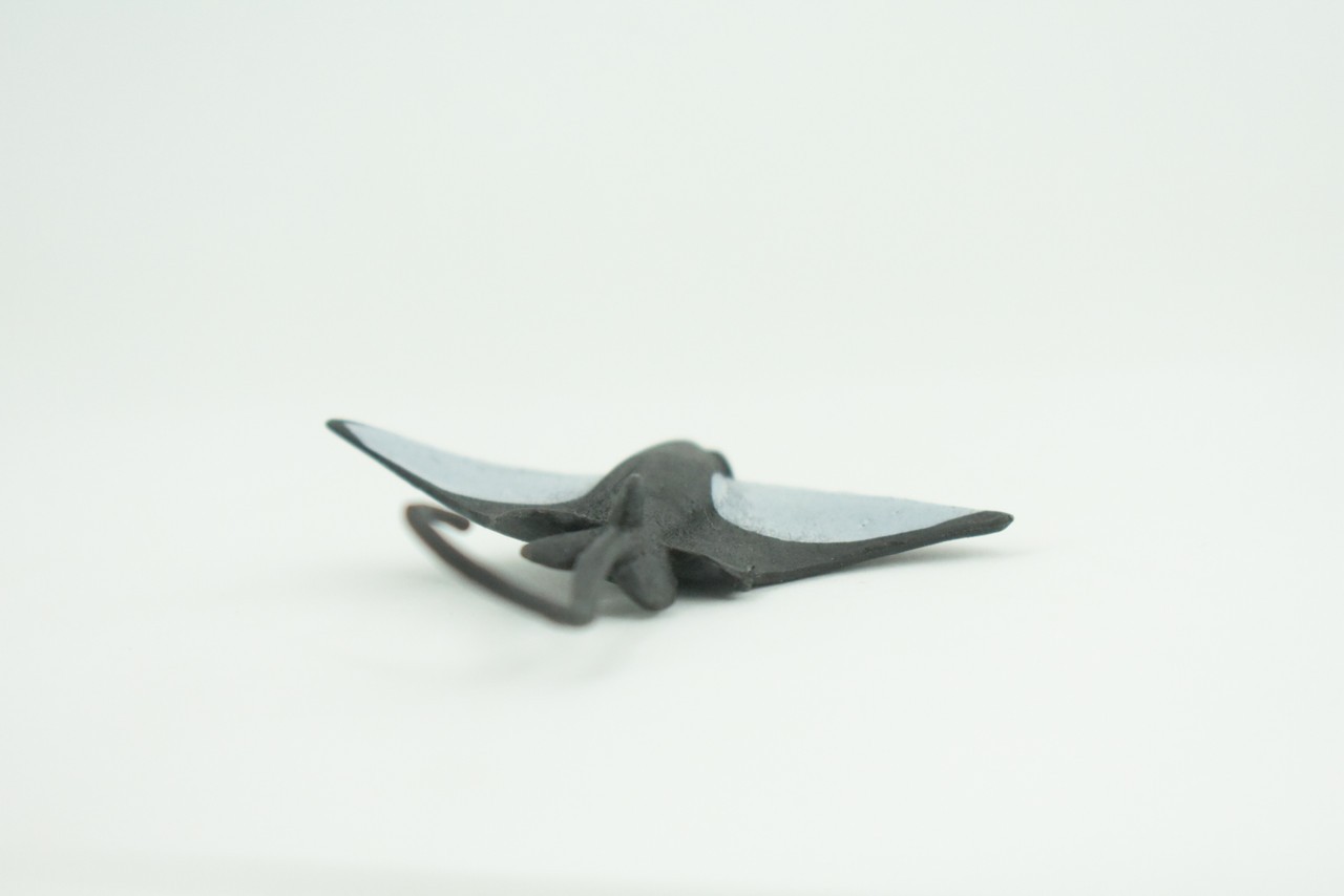 Toy California Bat Ray, Realistic, Model, Kids, Gift, 2 1/2 Inches CWG55 B197