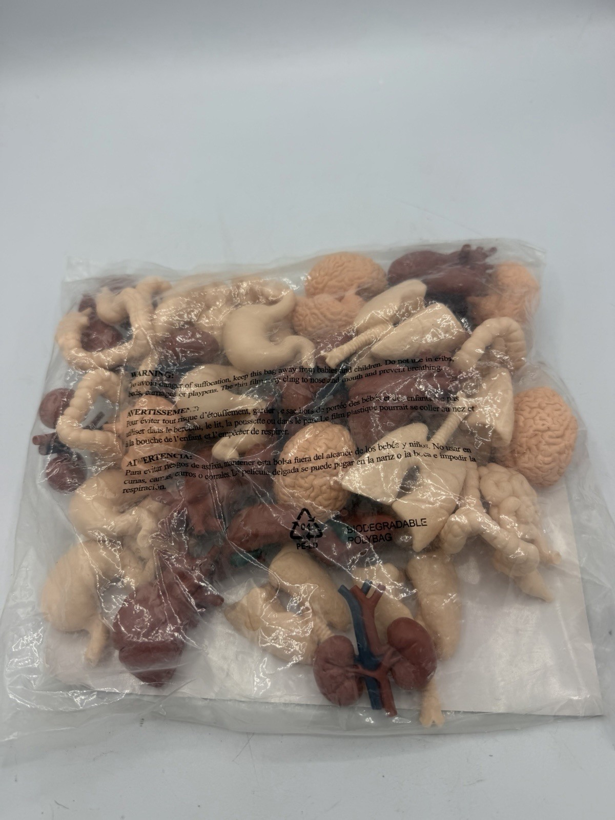 Safari Ltd Human Organs 48 Pieces Bulk Bag