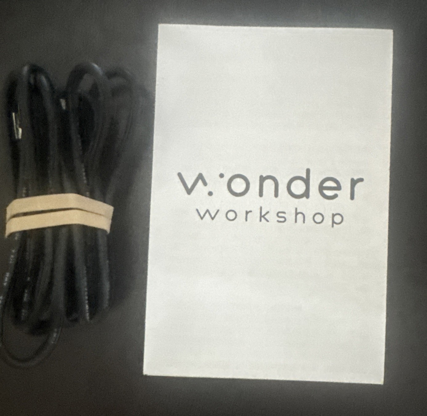 Wonder Workshop Dash Coding Robot W/Accessory Pack, Launcher, Cards READ LISTING