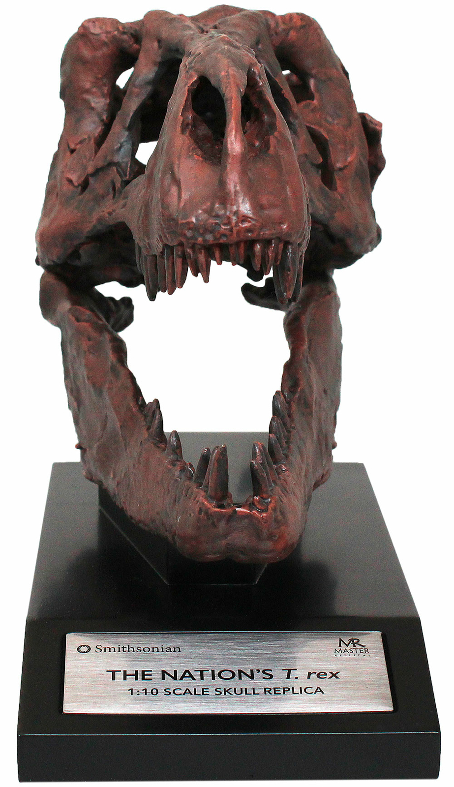 Tyrannosaurus Skull 1/10th Scale Smithsonian Licensed – The Nation’s T.rex