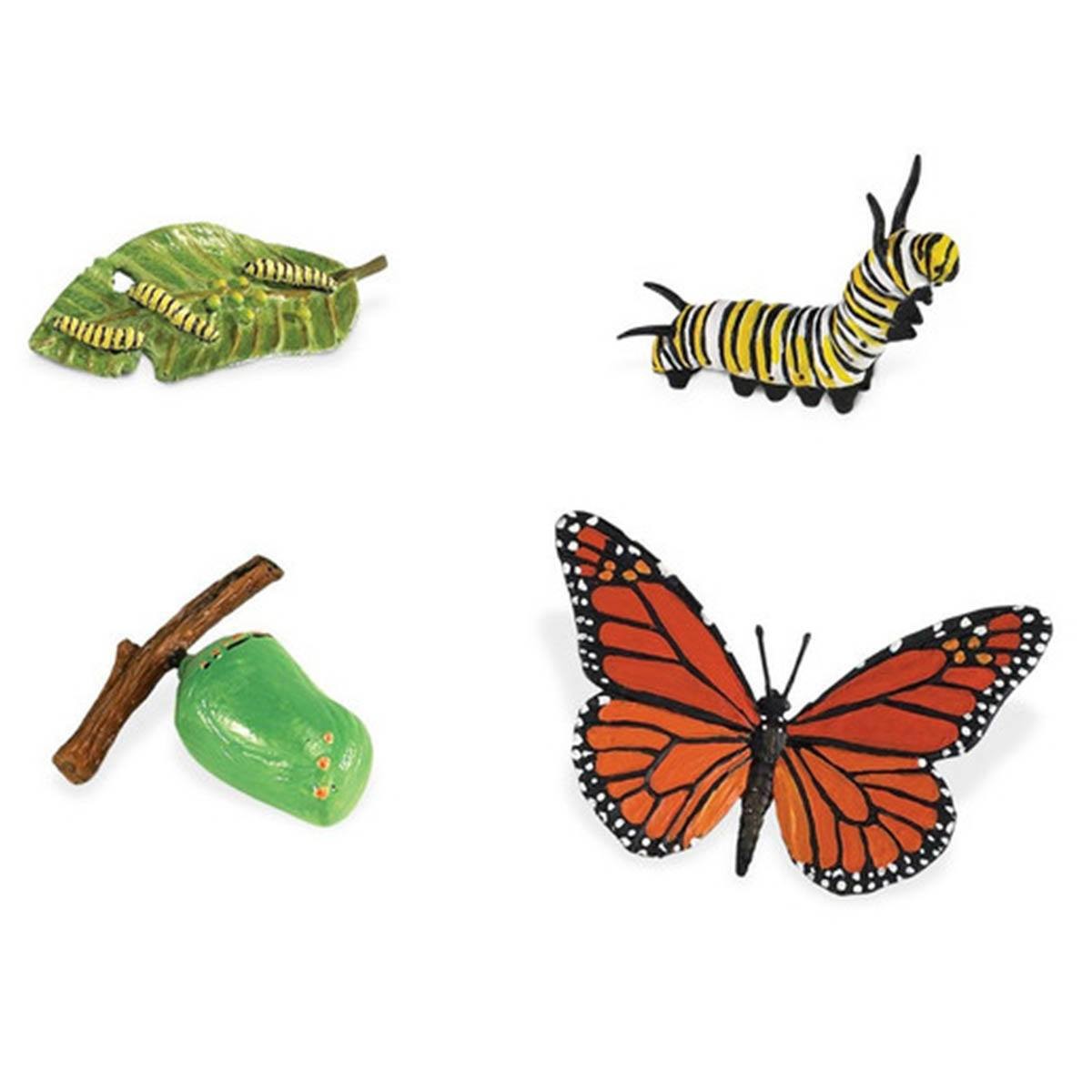 Life Cycle Of A Monarch Butterfly Safari Ltd NEW IN STOCK