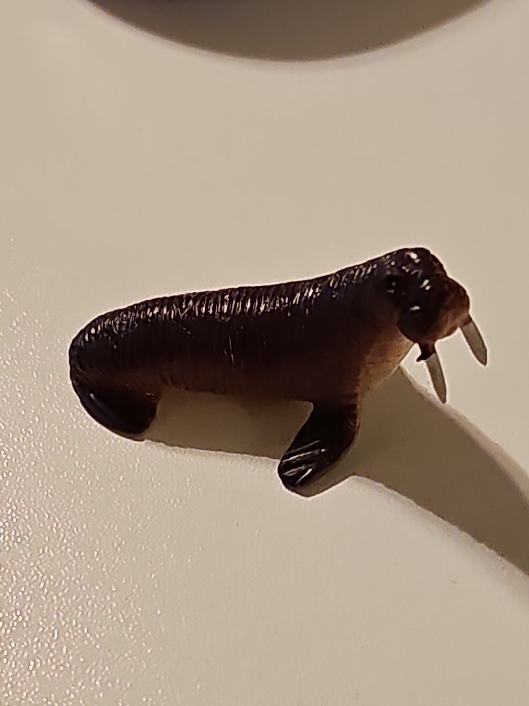 Unbranded Brown Sea Lion Plastic Toy Figure- 2.5 Inches Long, 1 Inch Tall