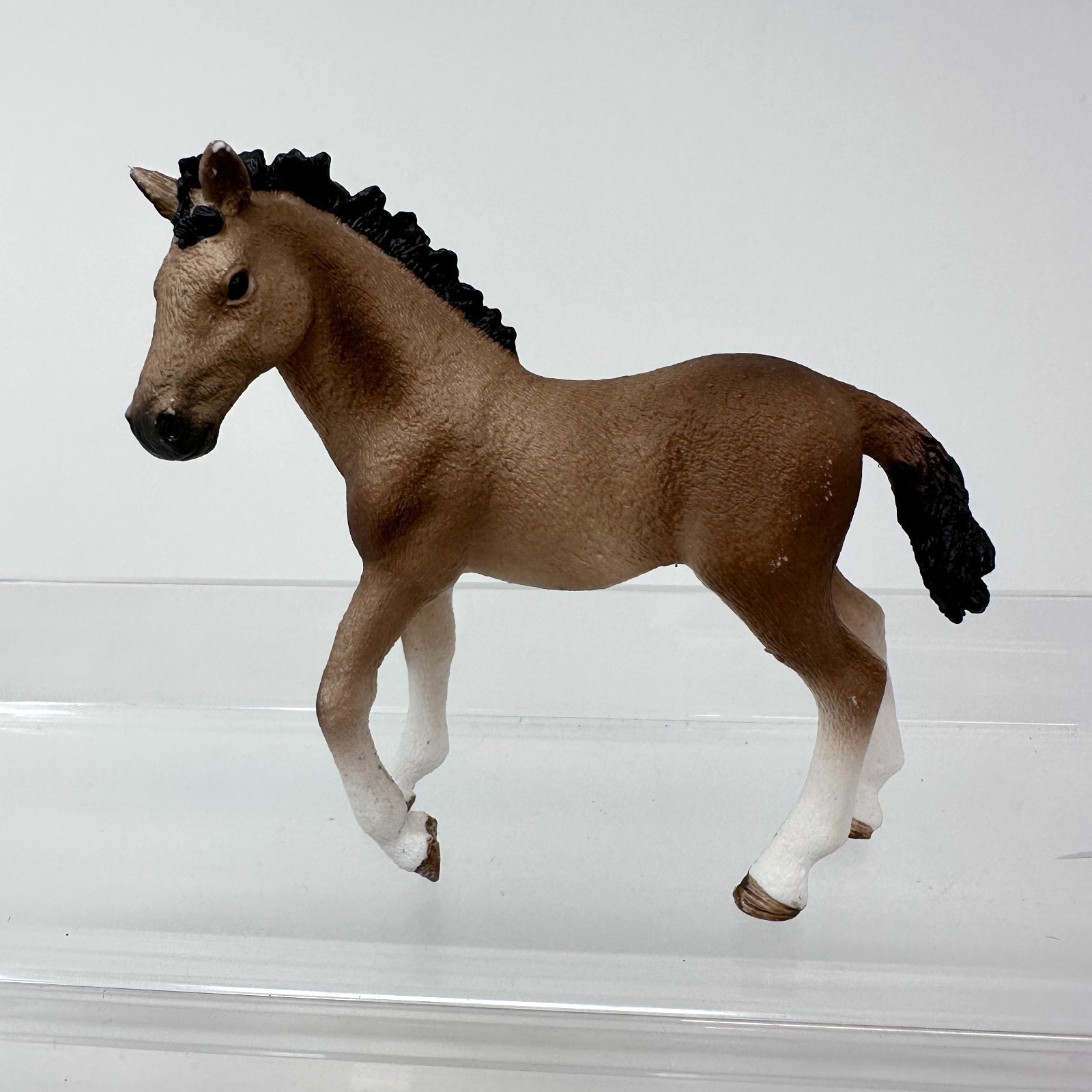Schleich Andalusian Foal Figure Brown Baby Colt Horse Farm Animal Figurine 2016