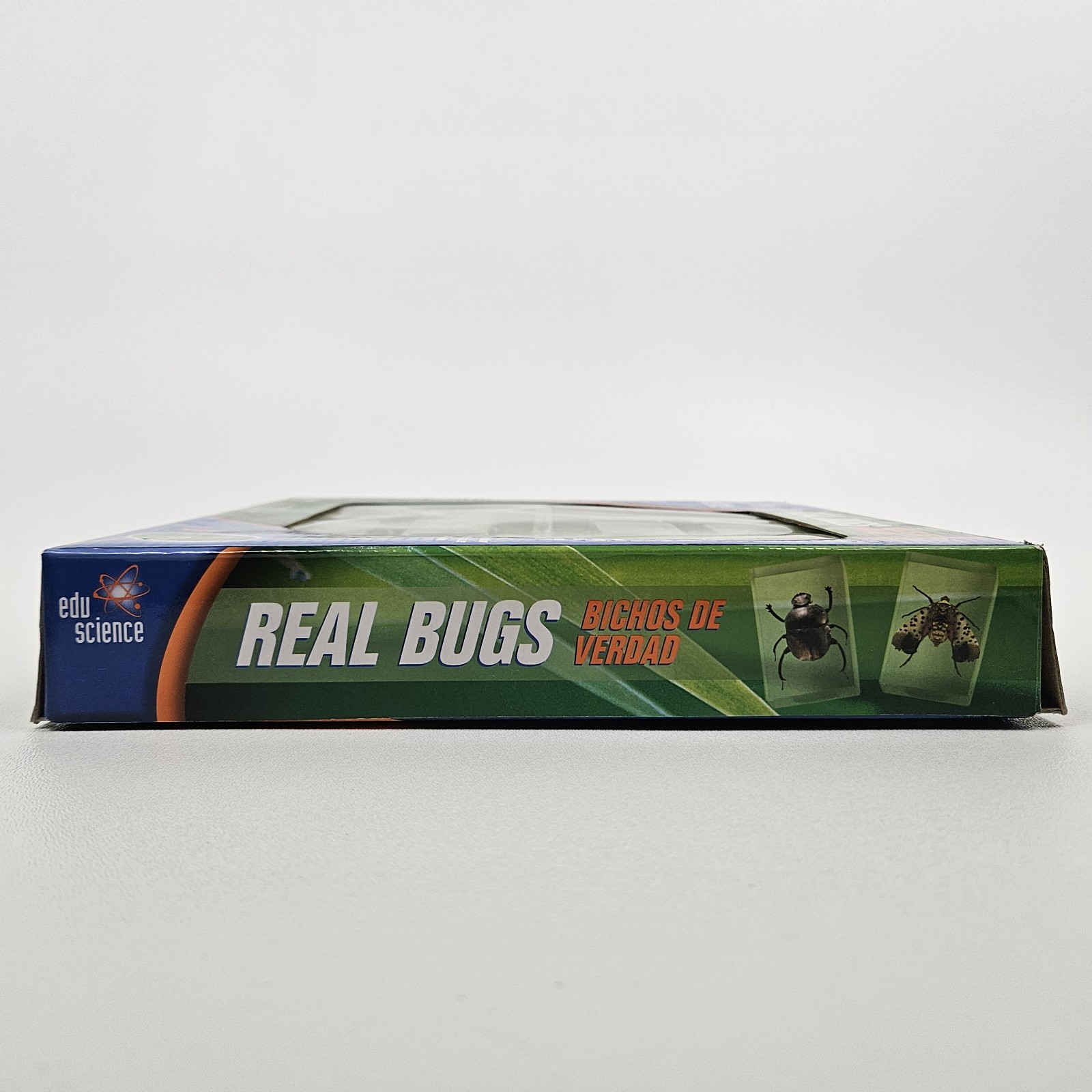 Edu Science REAL BUGS in Resin Insect Display 12-Pack Original Box, Toys “R” Us
