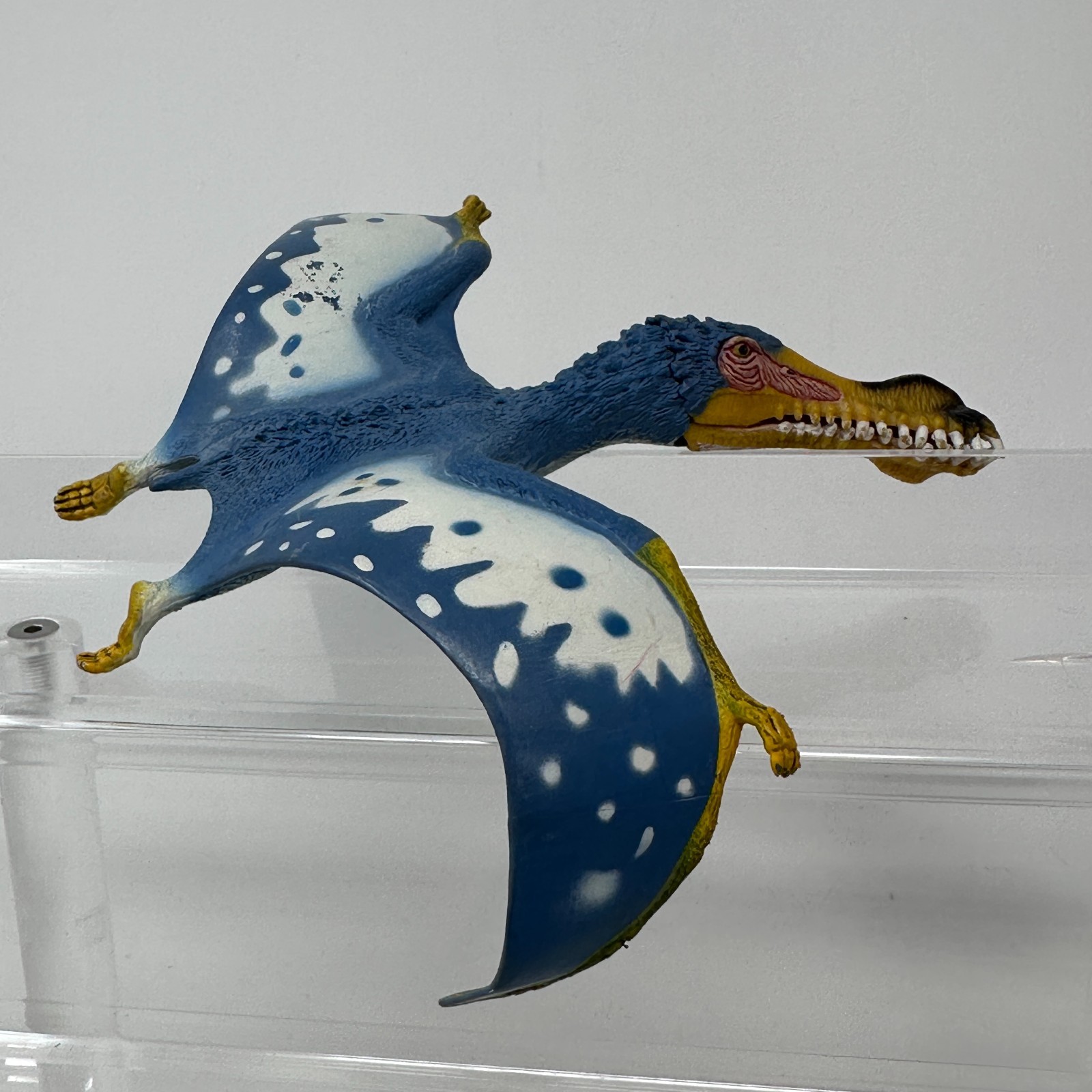Schleich Anhanguera Figure Blue Prehistoric Dinosaur Animal Figurine 5.5″ 2014