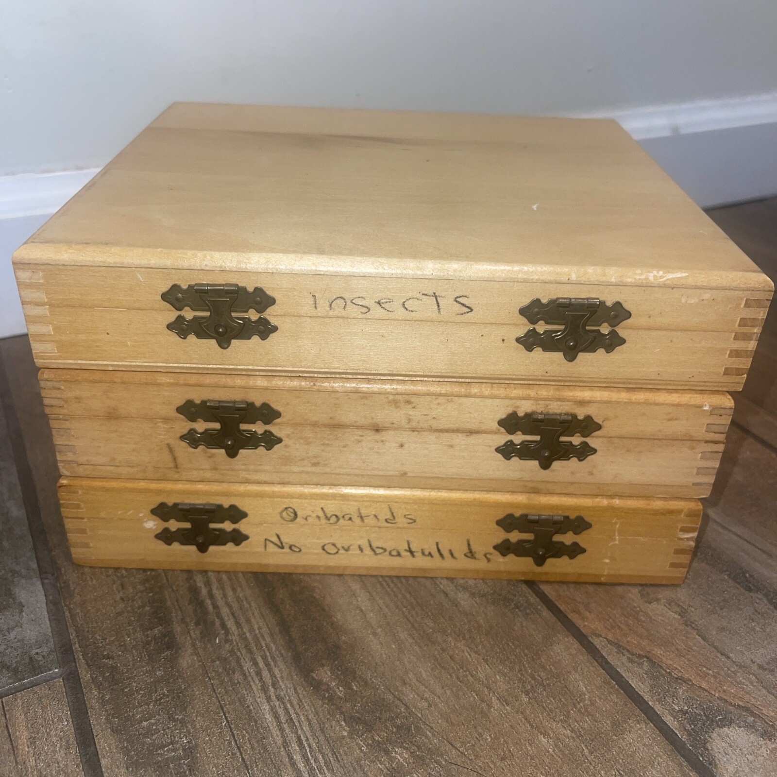 Lot Of 3 Vintage Clay-Adams Made In USA Wooden Slide Boxes A-1600 AW