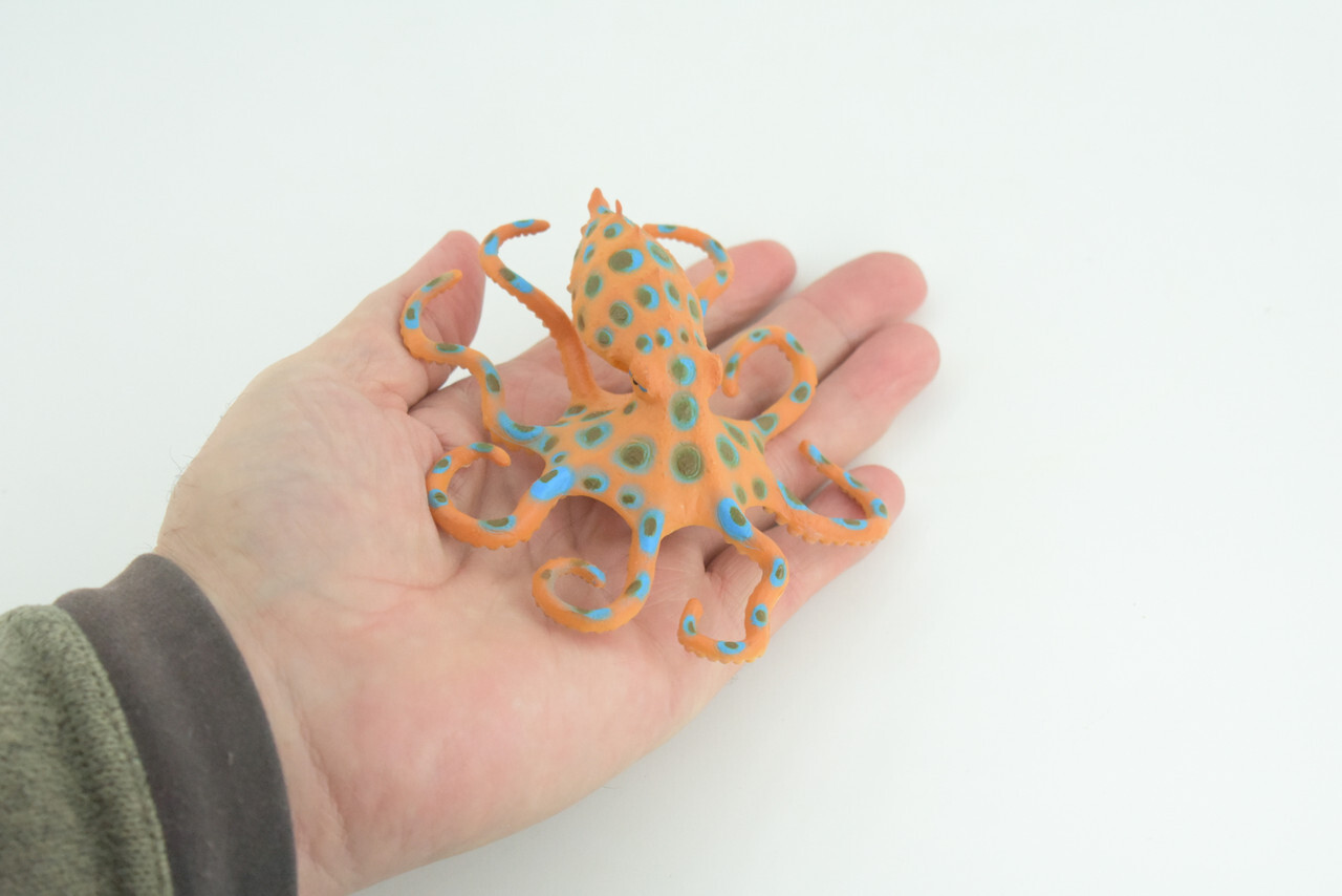 Blue Ringed Octopus Toy, Realistic Hand Painted Rubber Model, 4 1/2″ CH850 BB197