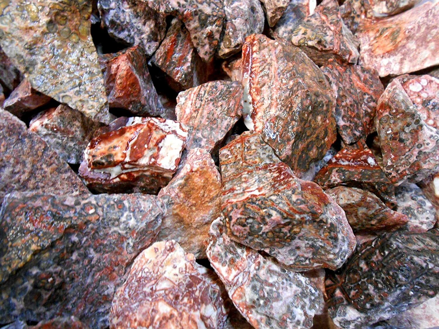 Rockhound’s 1st Choice Rock Tumbler Gem Refill Kit Mexico Red Leopardskin Jasper