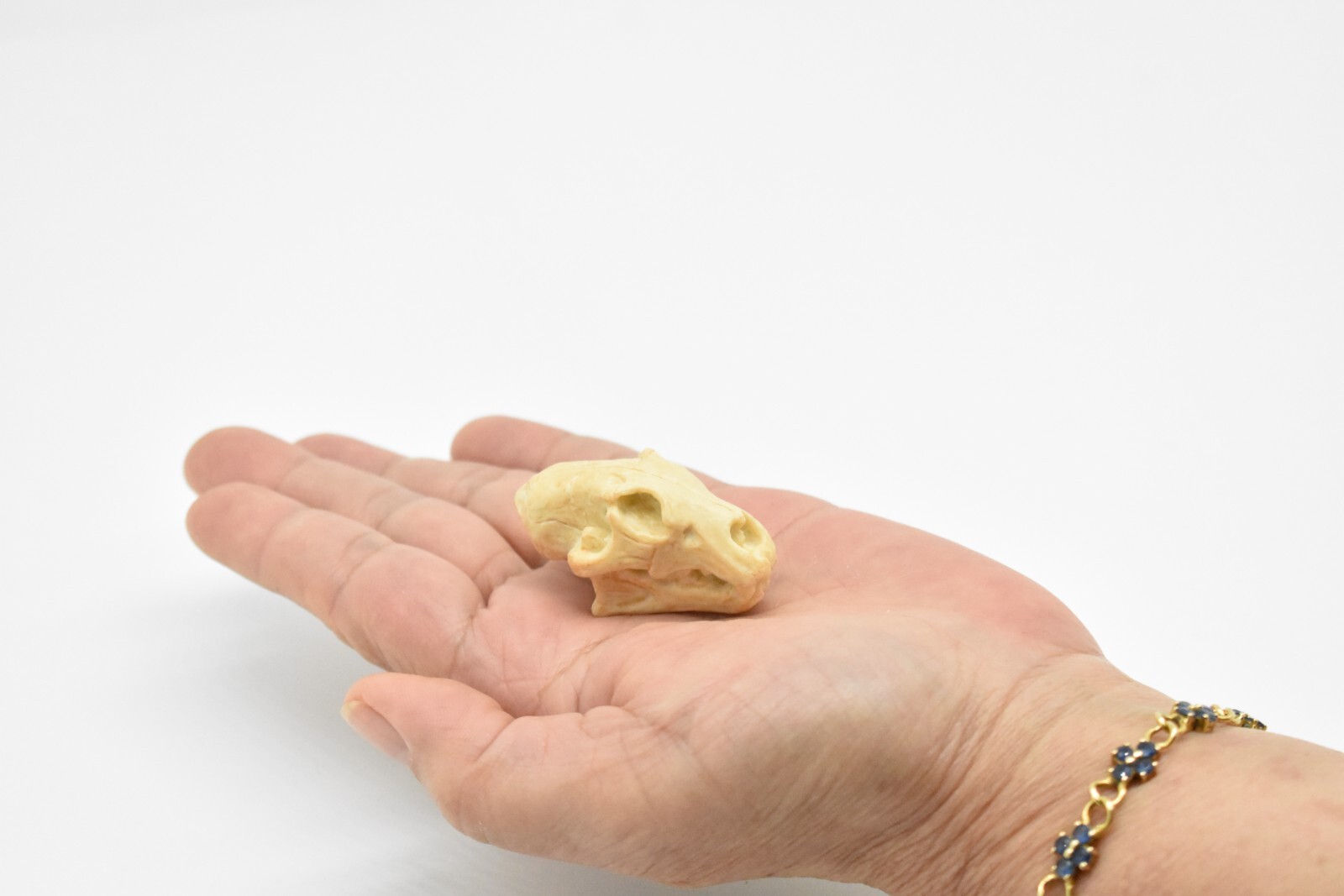 Lion Skull, Very Nice Plastic Reproduction 1 7/8 inches long F4124 B193