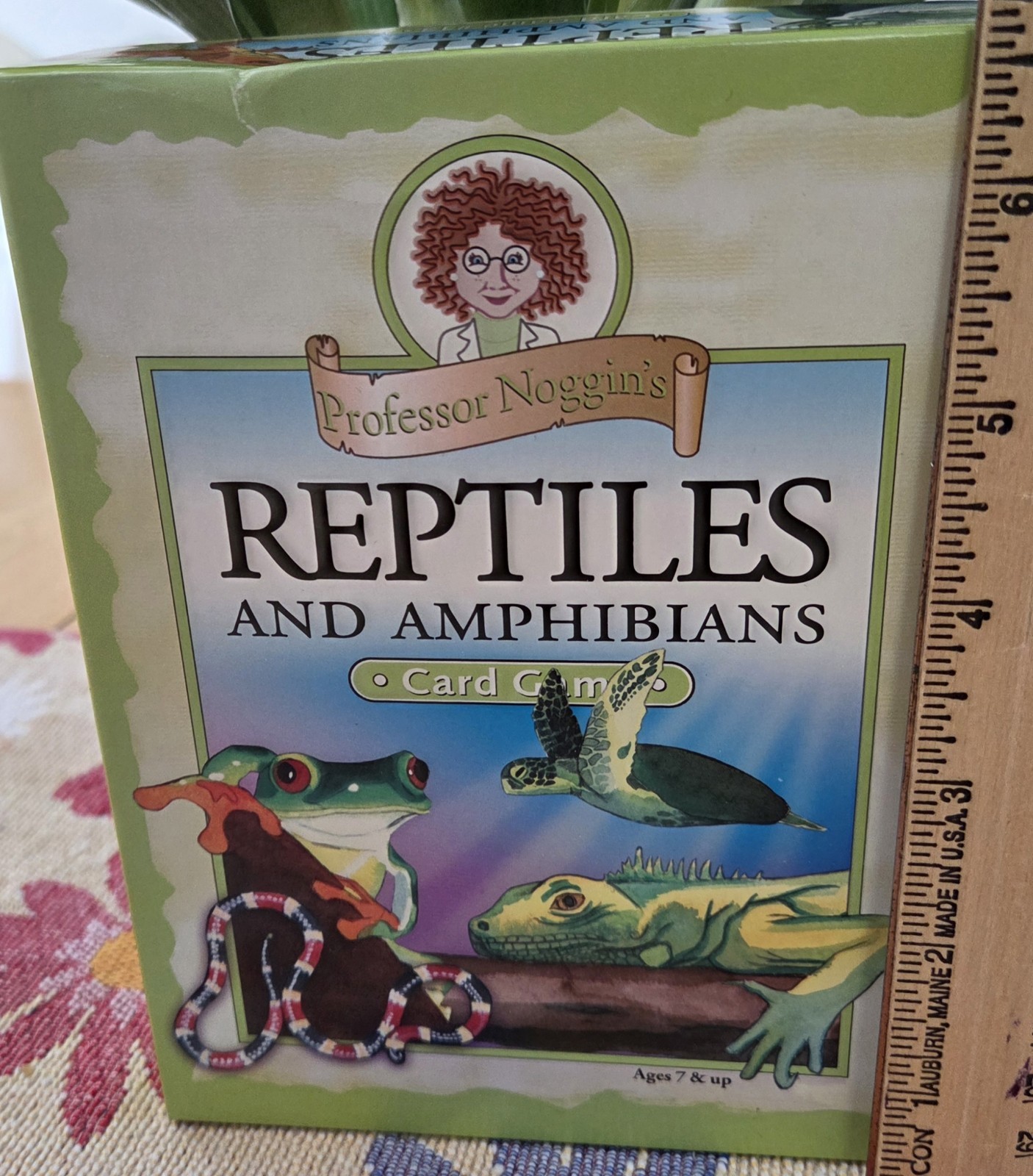 Professor Noggins Reptiles and Amphibians Card Game #13