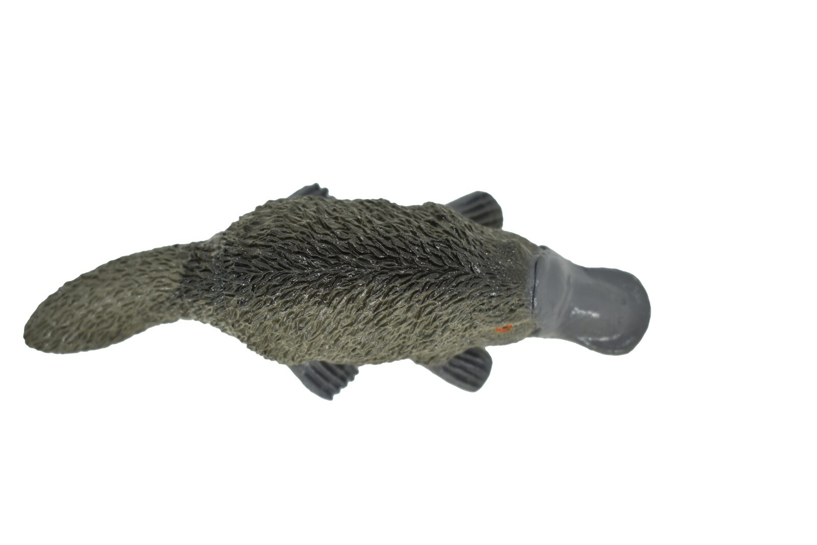 Platypus, Life Like Plastic Replica 4 inches long – F320 B111