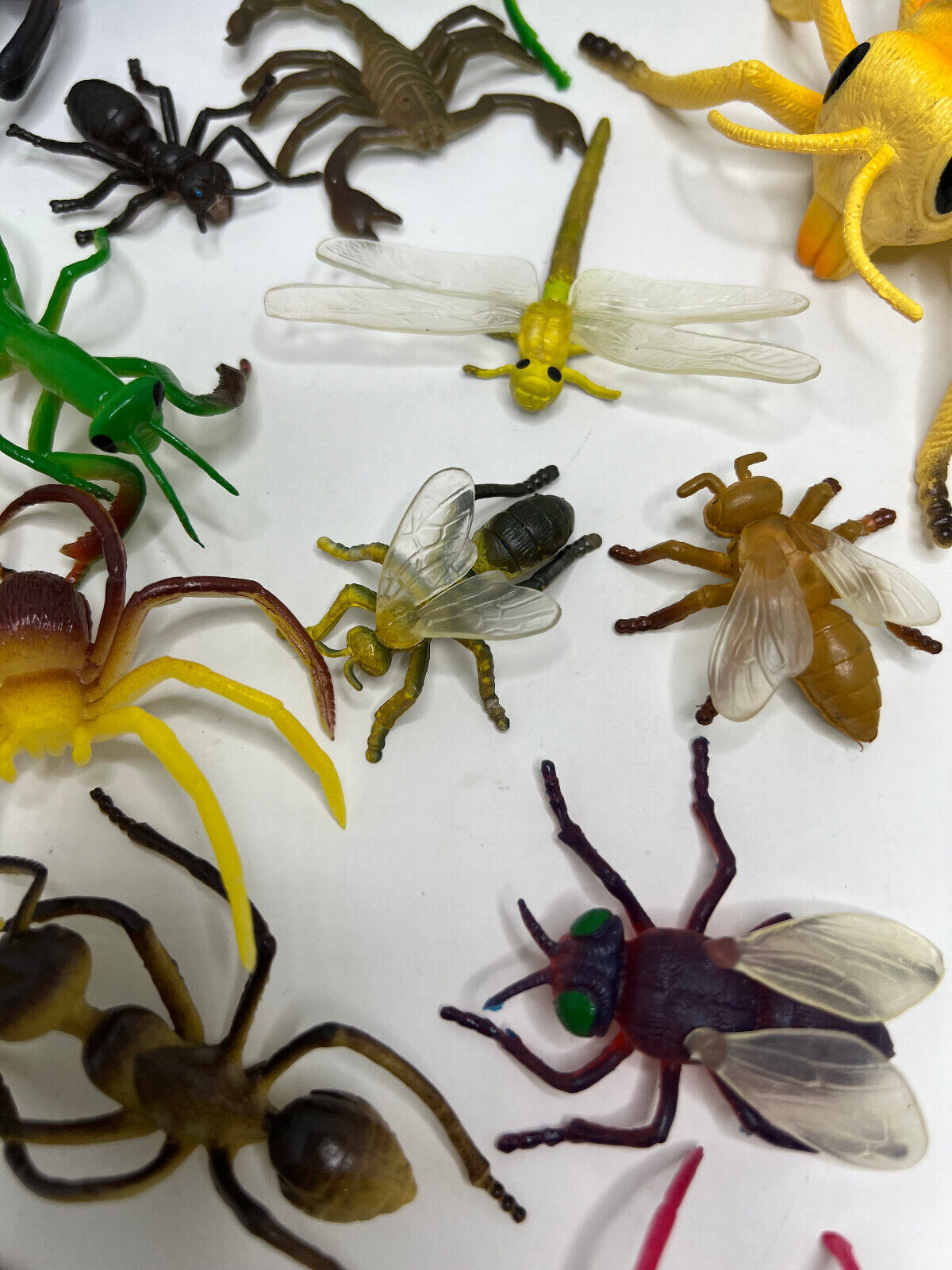 Large Lot of Creepy plastic bugs toy relistic figures