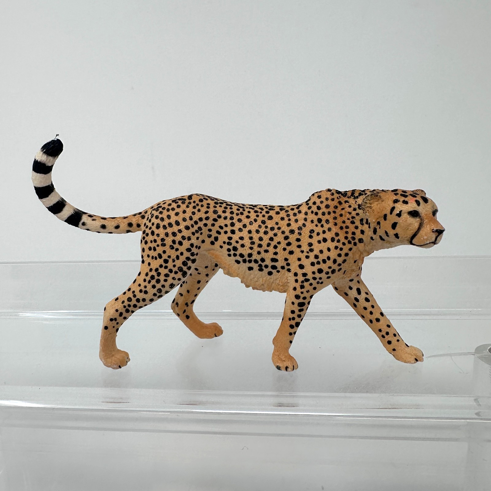 Schleich Cheetah Figure Spotted Large Cat Female Wildlife Zoo Animal Figurine