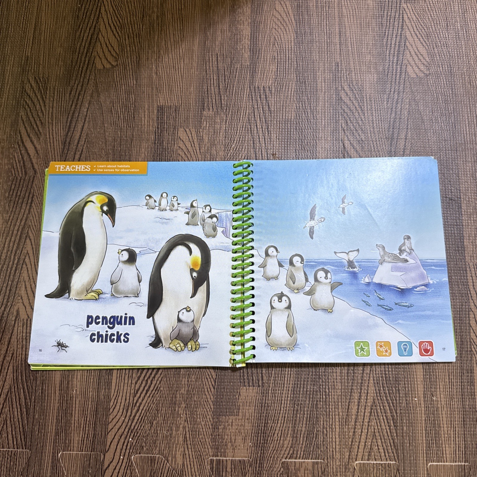 LeapFrog Leap Start Preschool book — THE WORLD OF BABY ANIMALS