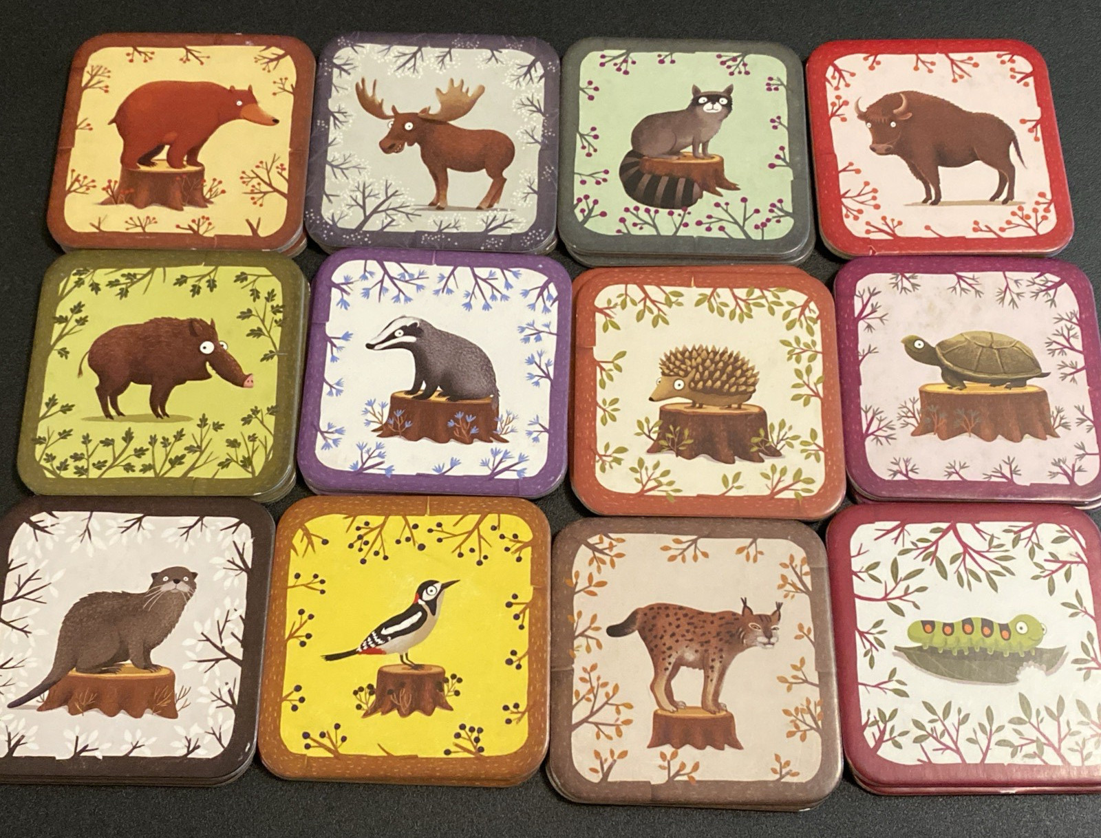 24 piece Memory Game A Year in the Forest by Emilia Dziubak (2023, Game)
