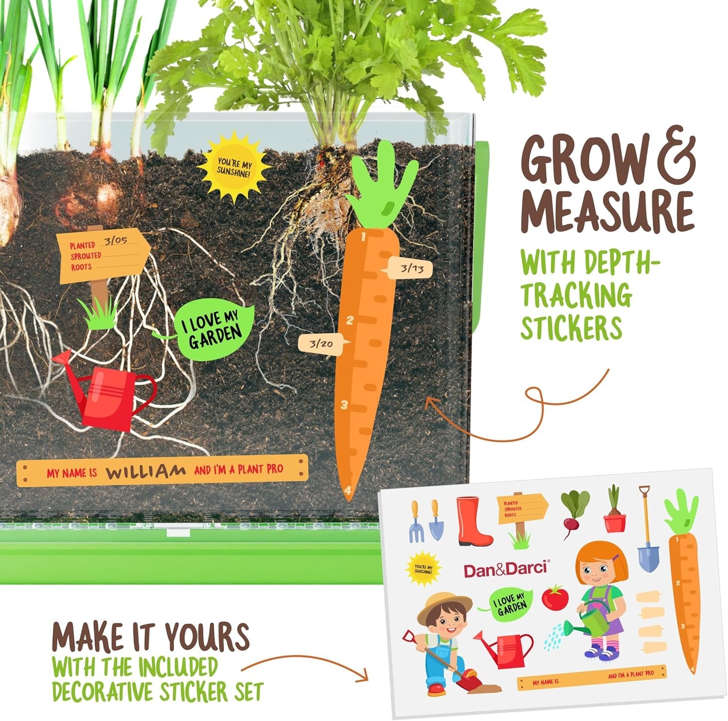 Root Viewer Kit for Kids – Grow Plant Science Educational Toy