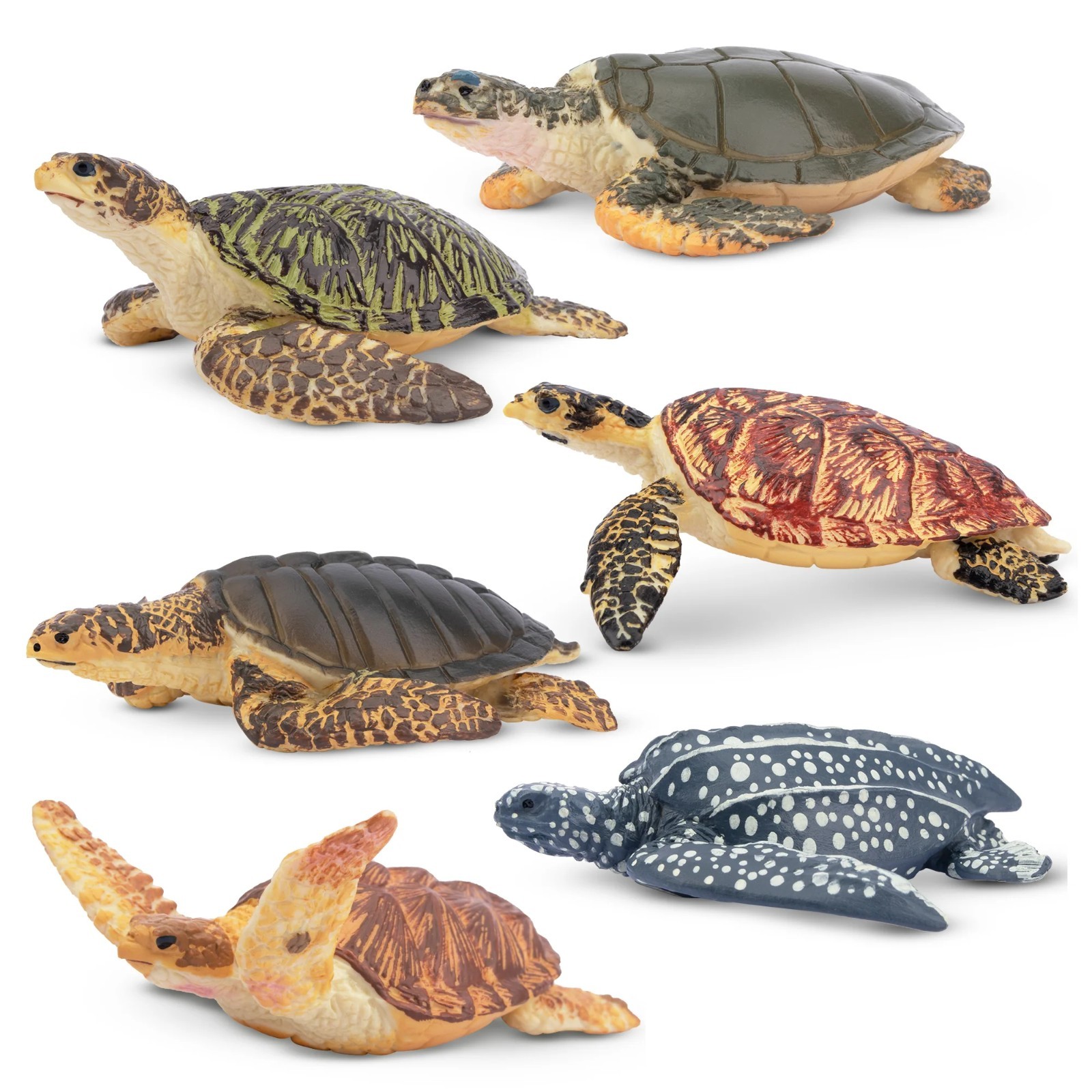 Toymany Sea Turtle Animal Figurine Realistic Collectible Toy Playset