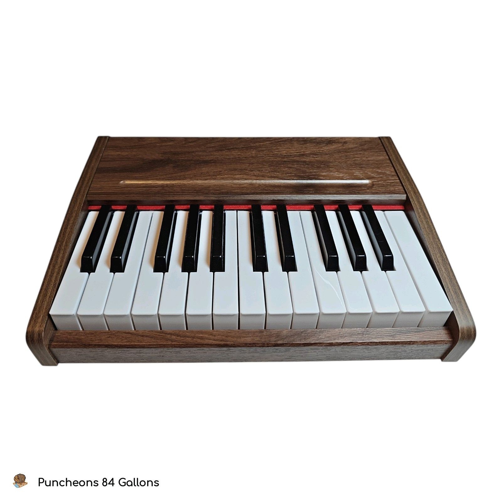 LeeQee Baby Piano Keyboard – 25 Key Mini Digital Wooden Piano for Toddlers 3+