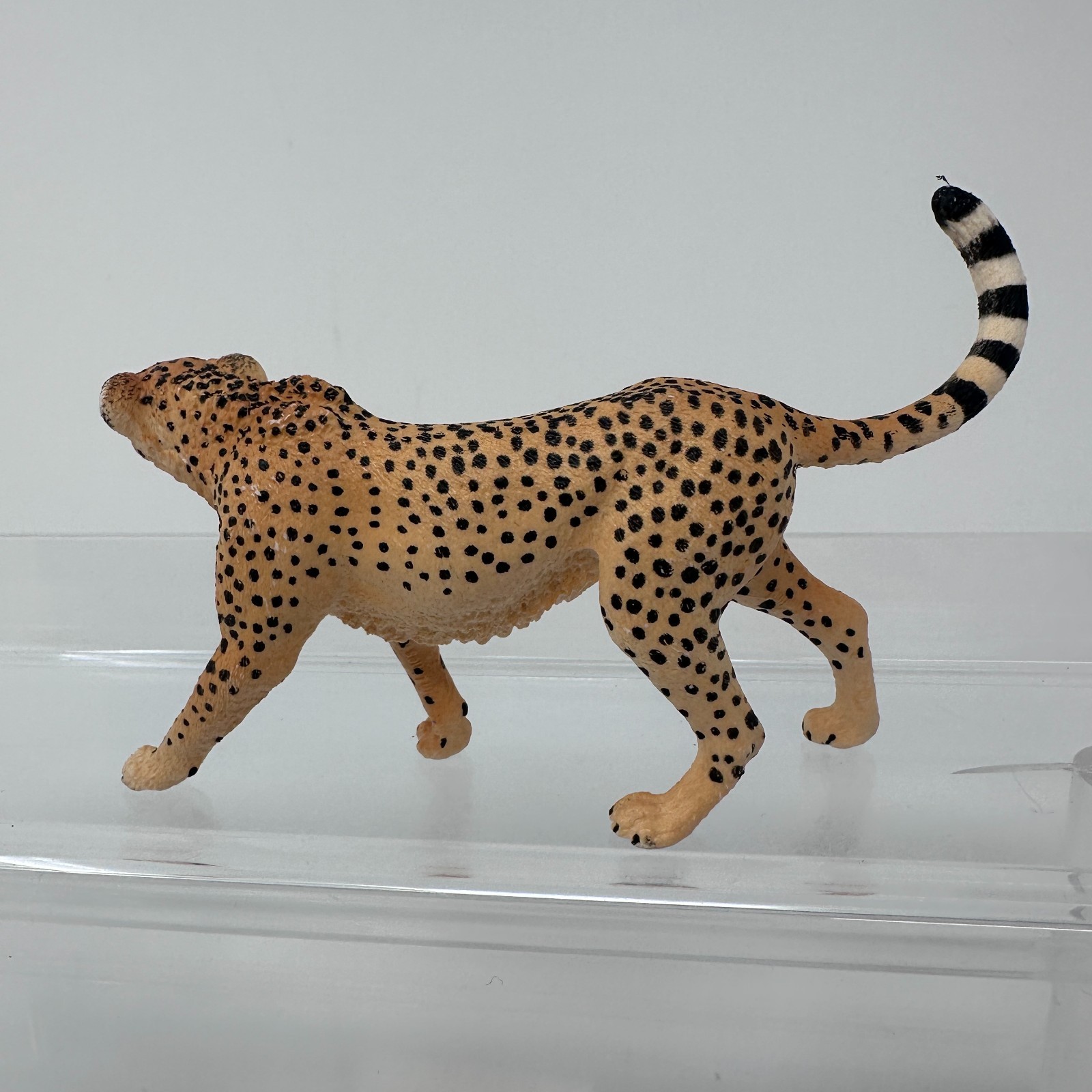 Schleich Cheetah Figure Spotted Large Cat Female Wildlife Zoo Animal Figurine
