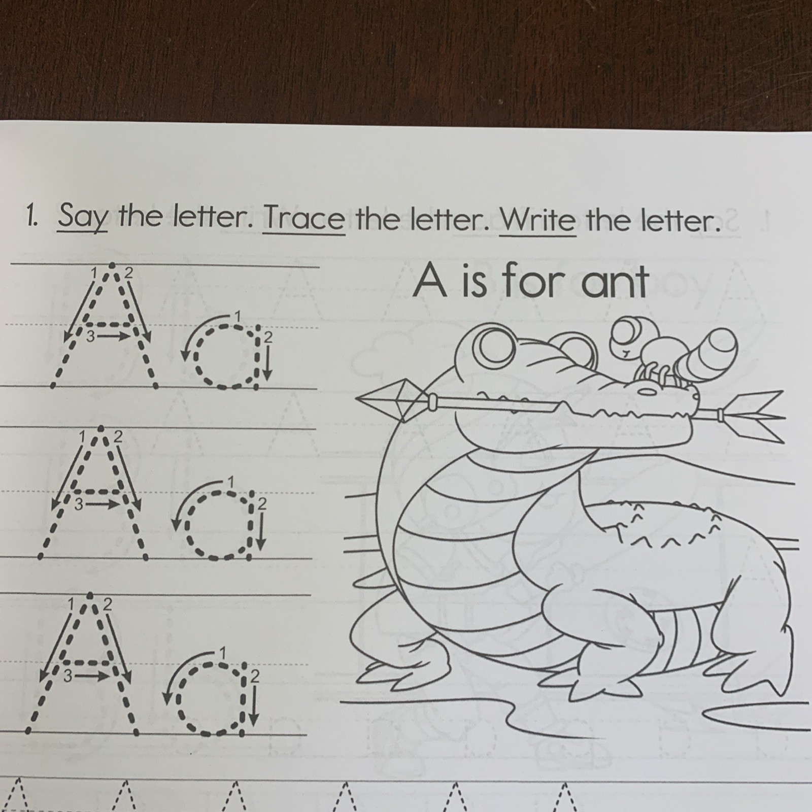 Handwriting Workbook Ages 4-8: Trace Letters Words Sentences Coloring