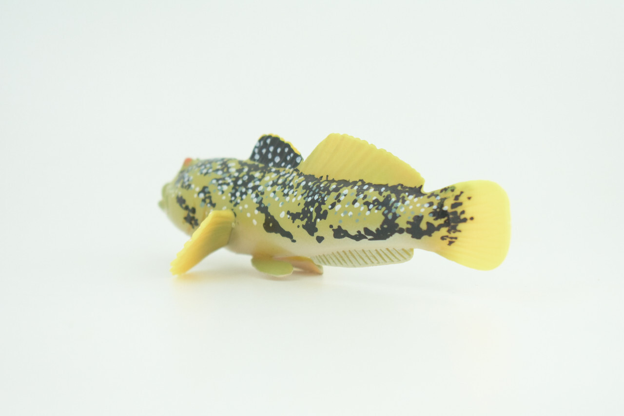 Lingcod Fish Toy, Realistic Hand Painted Rubber Fish Cod, Model 4.5″ CH787 BB185