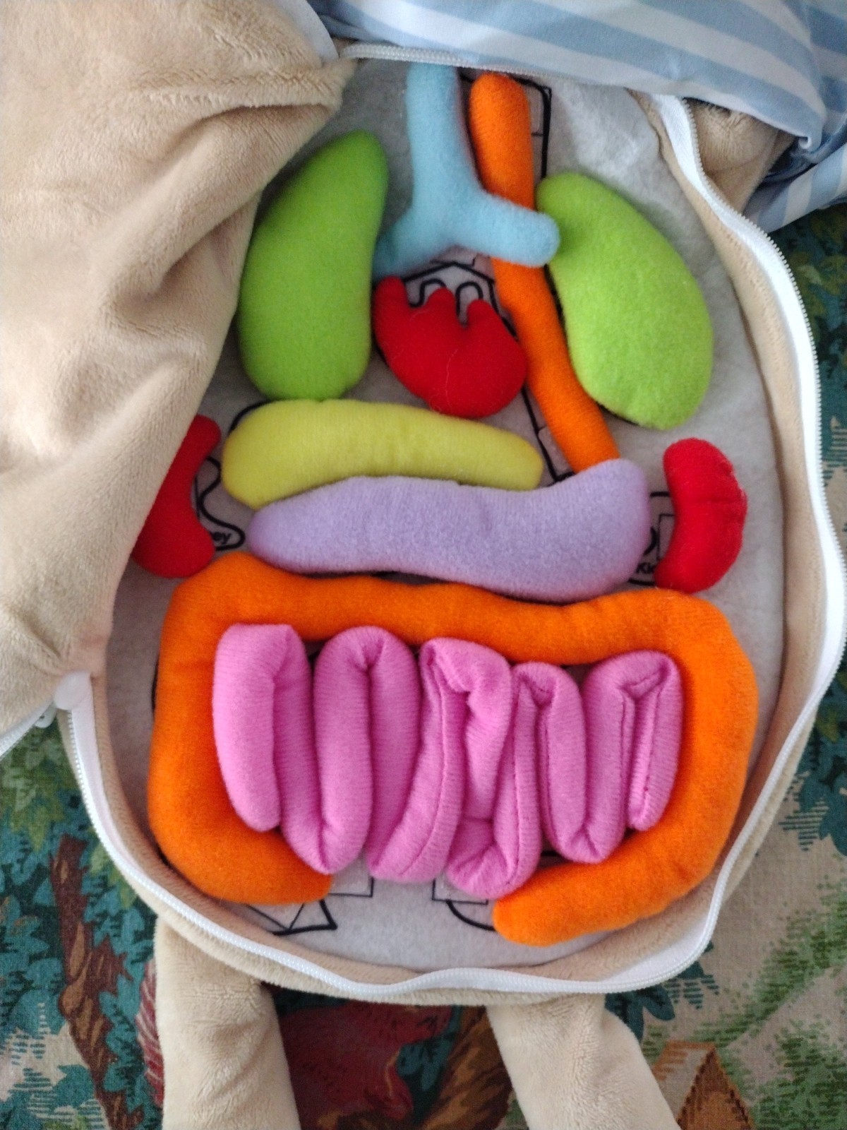 Kakiblin 3D Human Body Anatomy Doll Surgery Prep Plush Organs Educational Toy