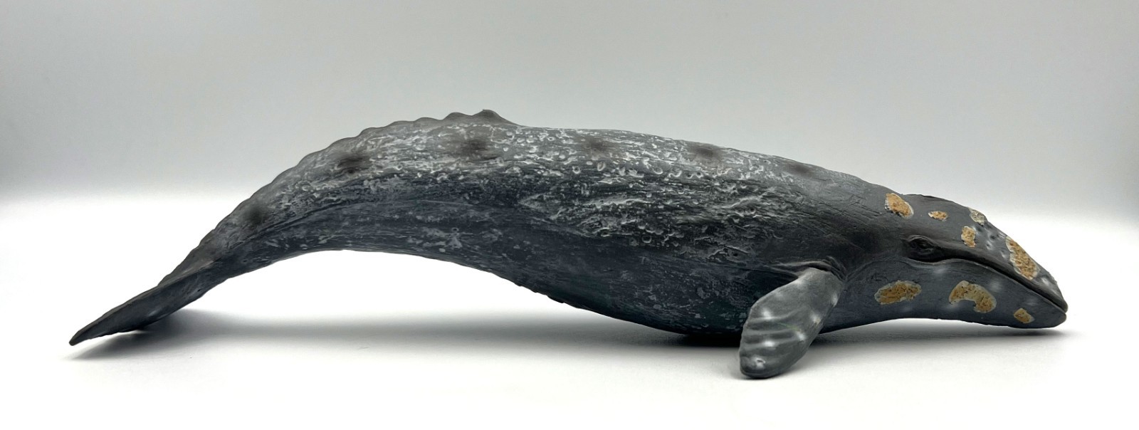 Mojo Grey Whale Figure 2018 Portugal Grauwal 10.5″