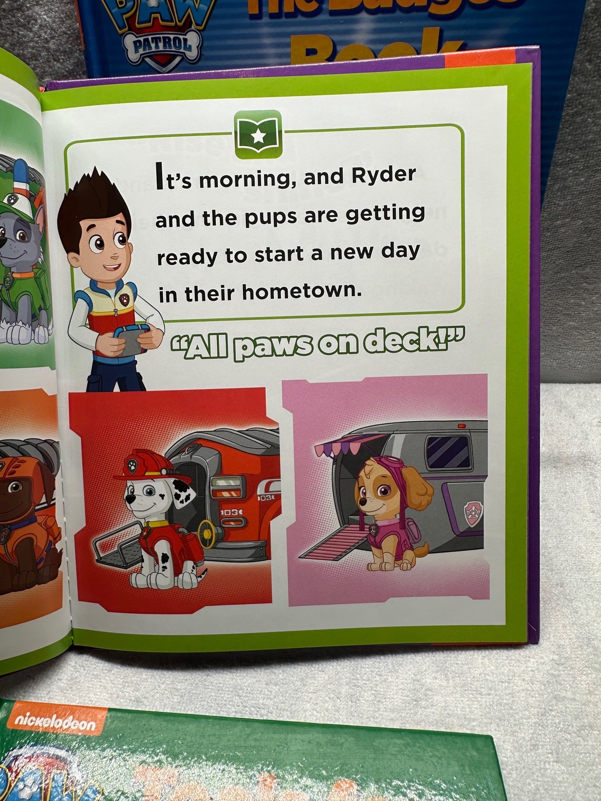 3 Nickelodeon Paw Patrol Badge Book Tools For Every Job Adventure Day Used Books